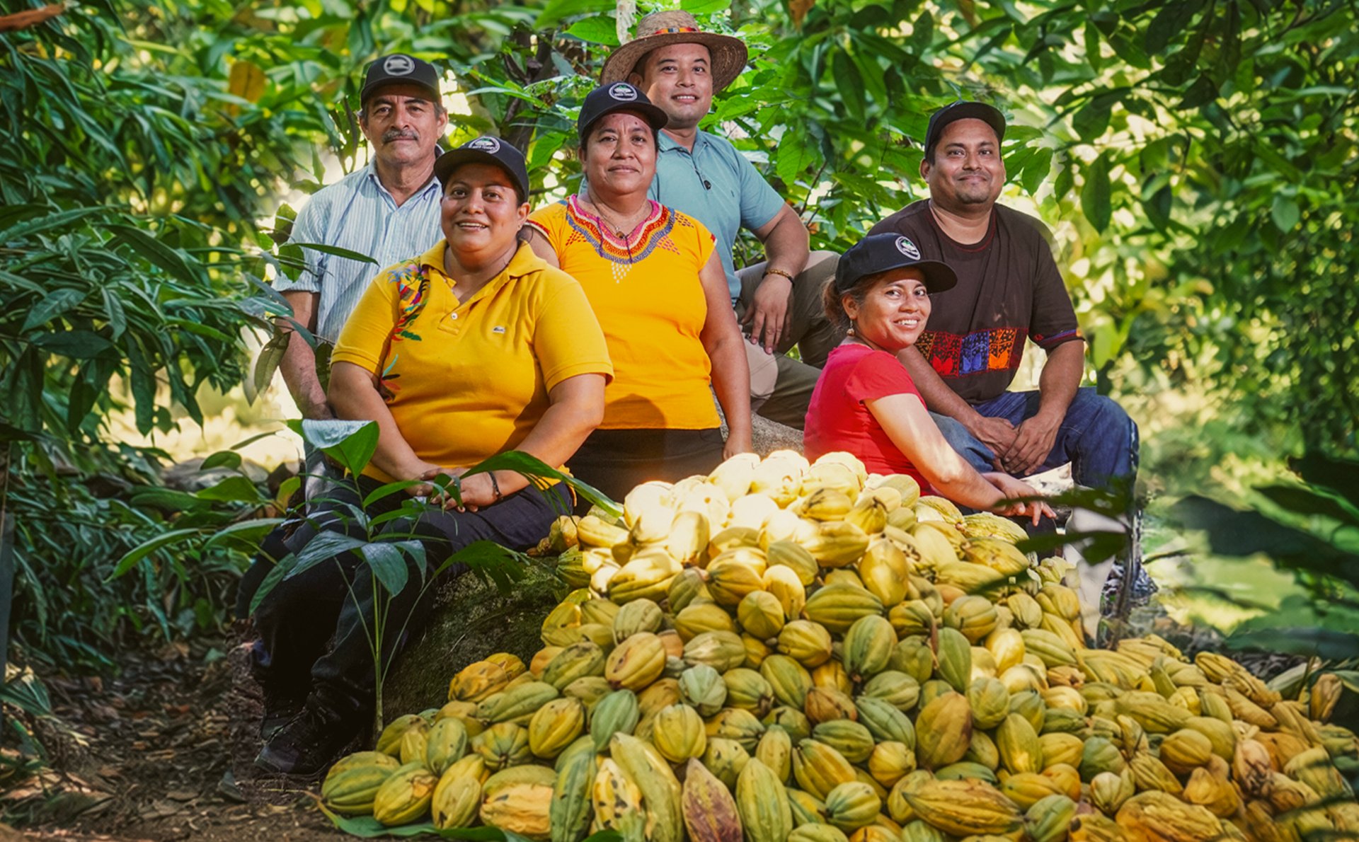 black and brown leather padded tub sofa