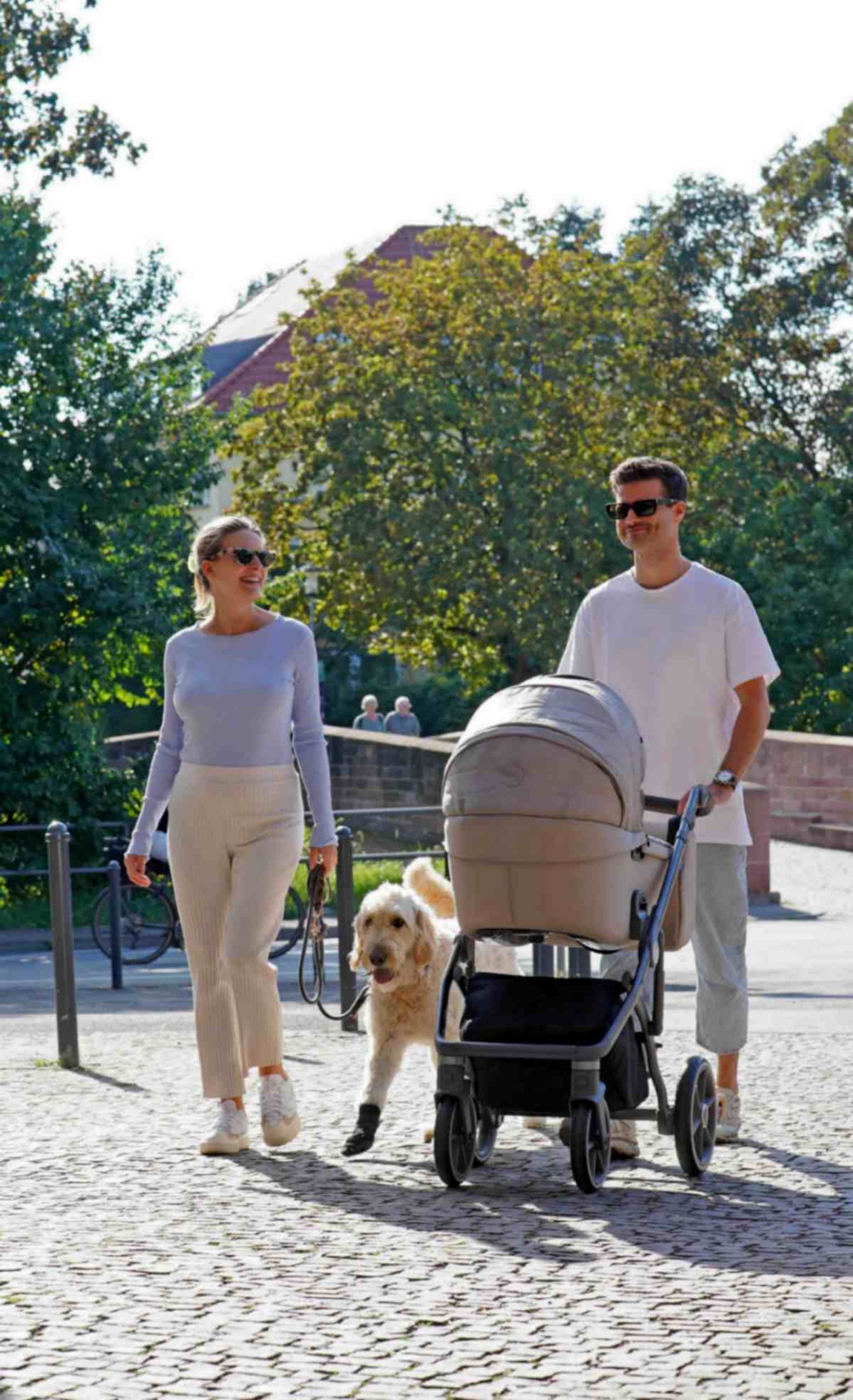 a man and woman walking with a dog in a stroller