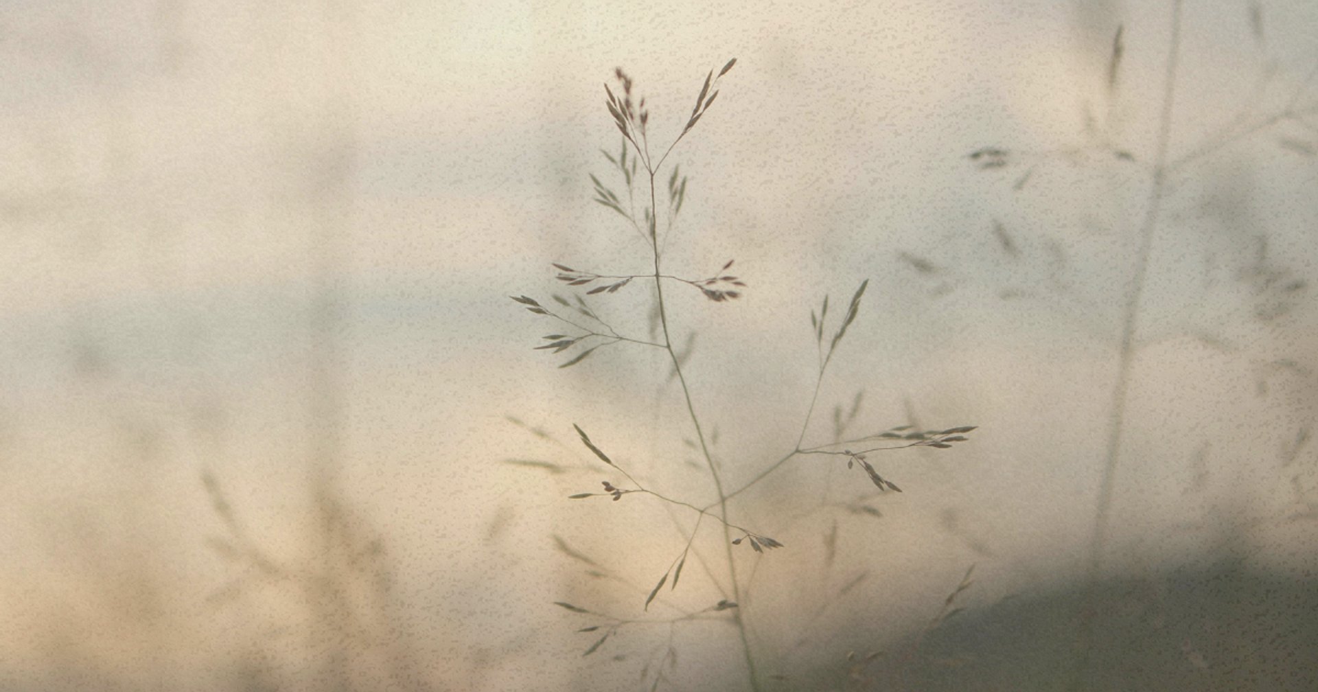 an abstract photo of a curved building with a blue sky in the background
