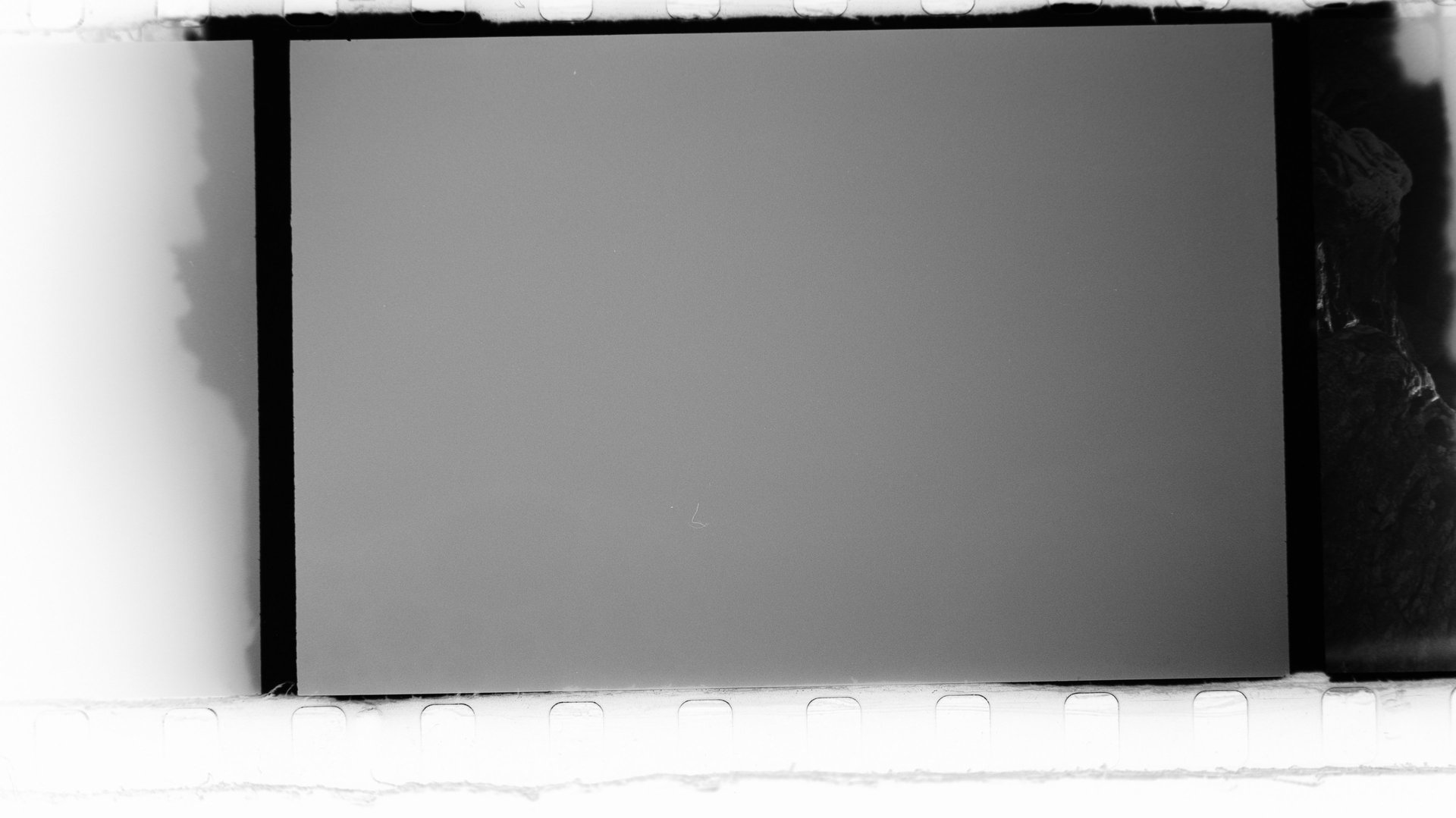a close up of a black and brown abstract painting