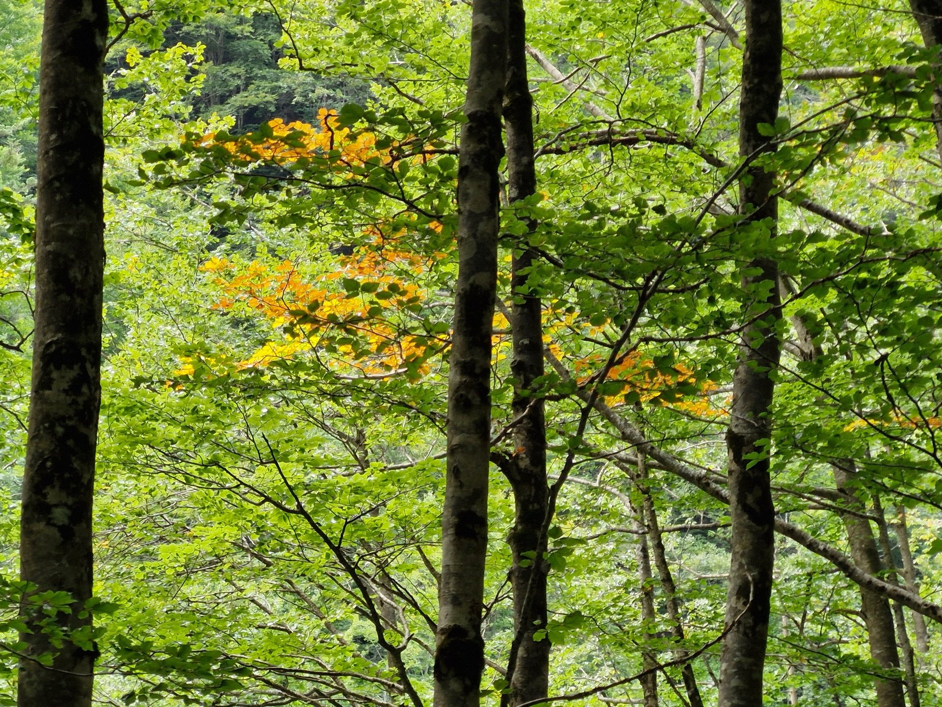 an abstract photo of a curved building with a blue sky in the background