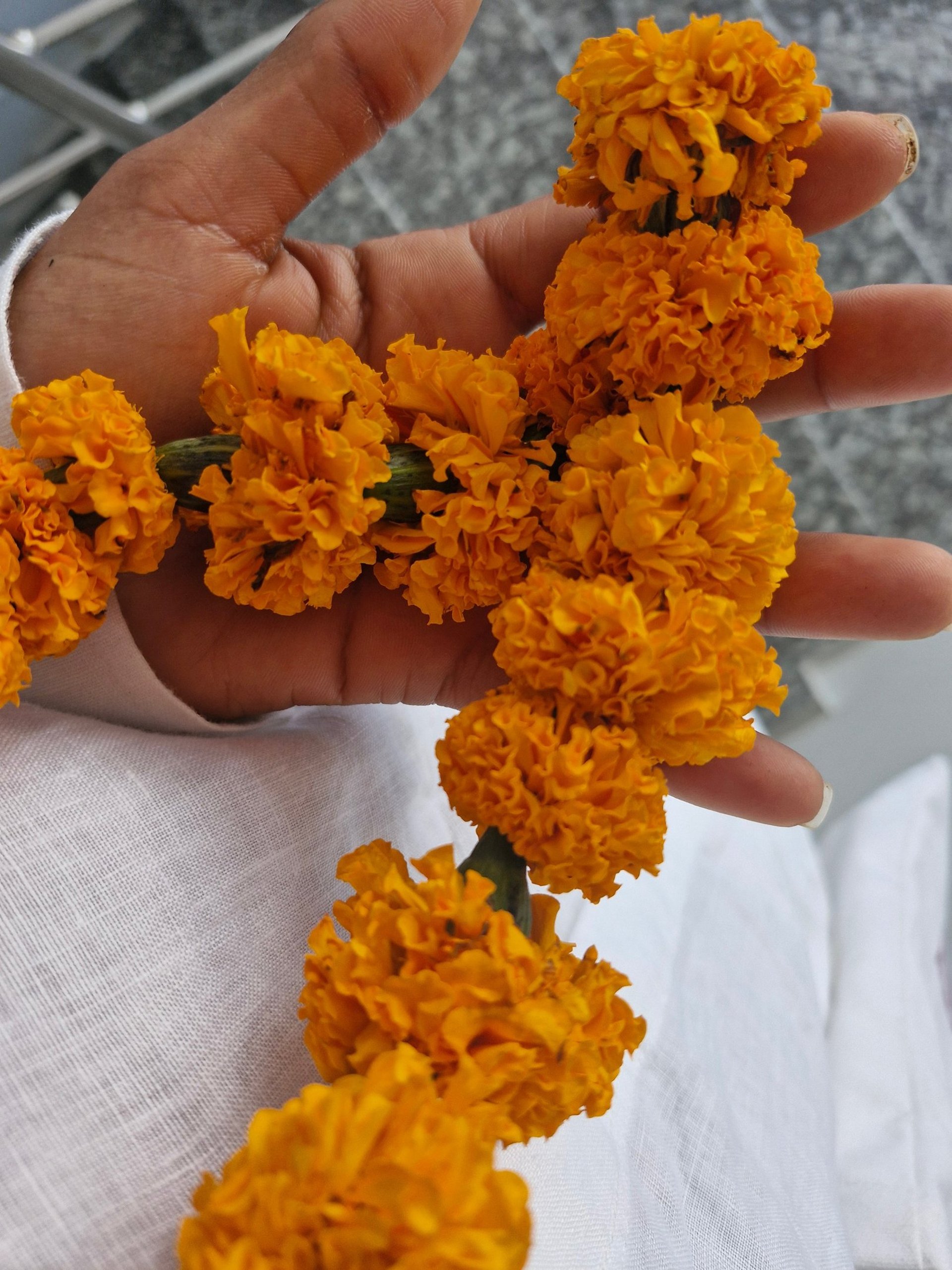 an abstract photo of a curved building with a blue sky in the background