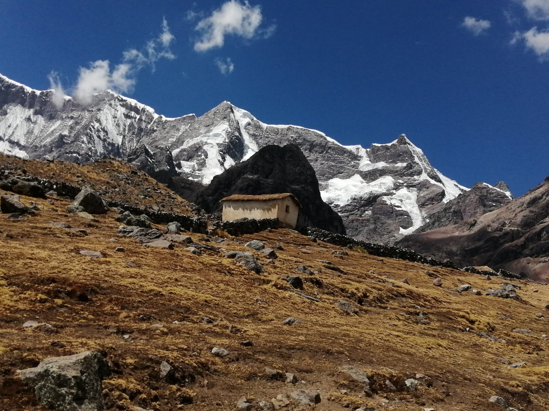 an abstract photo of a curved building with a blue sky in the background
