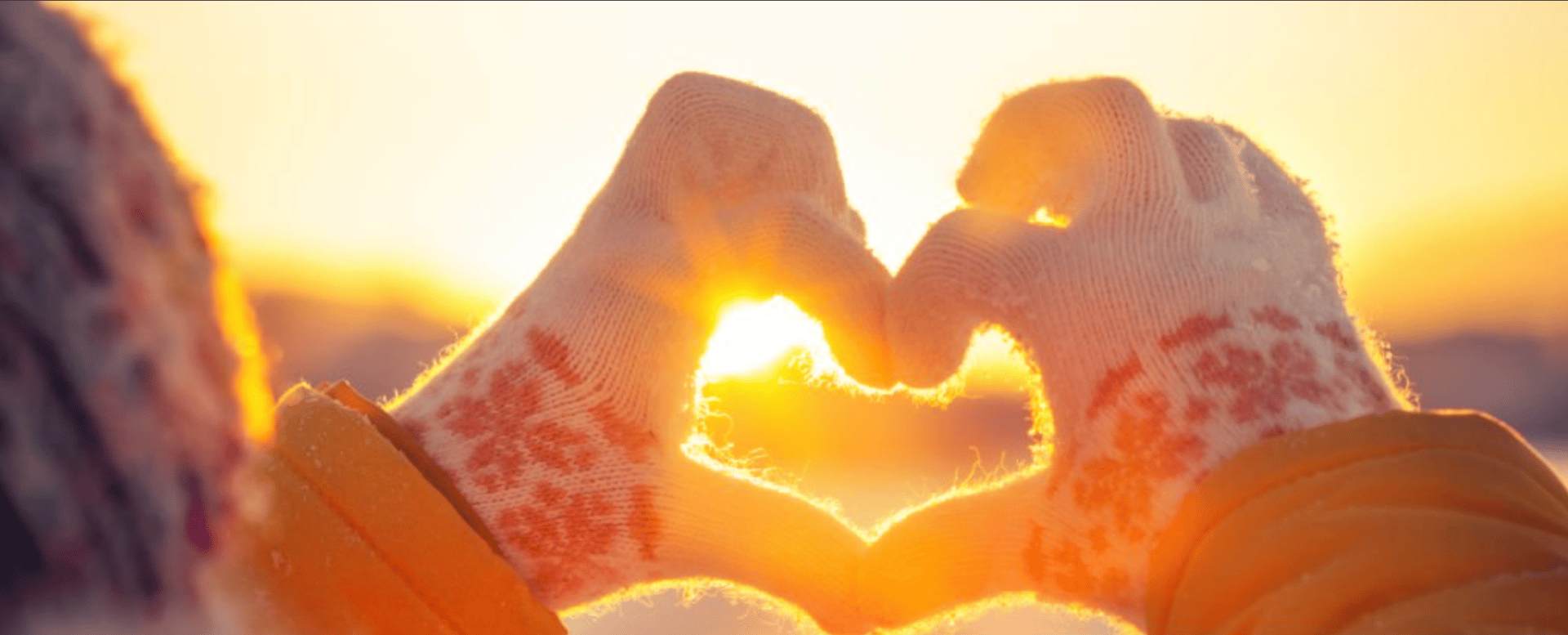 water falls in the forest