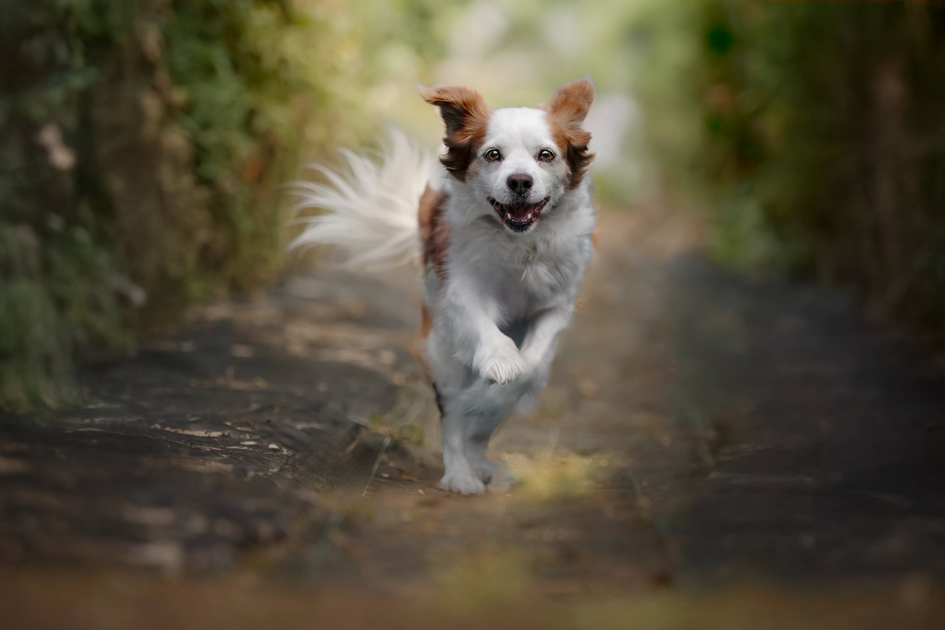 black and white bed linen