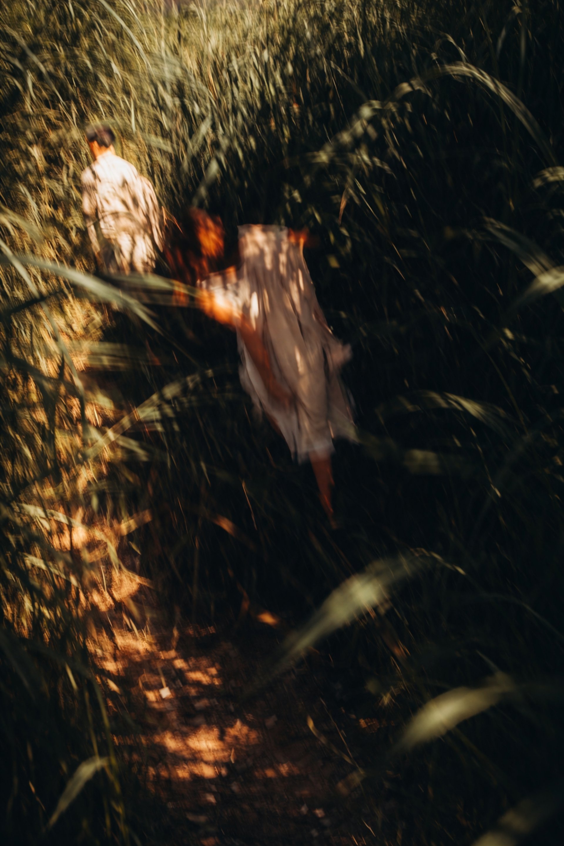 woman in white and brown dress standing on green grass during night time