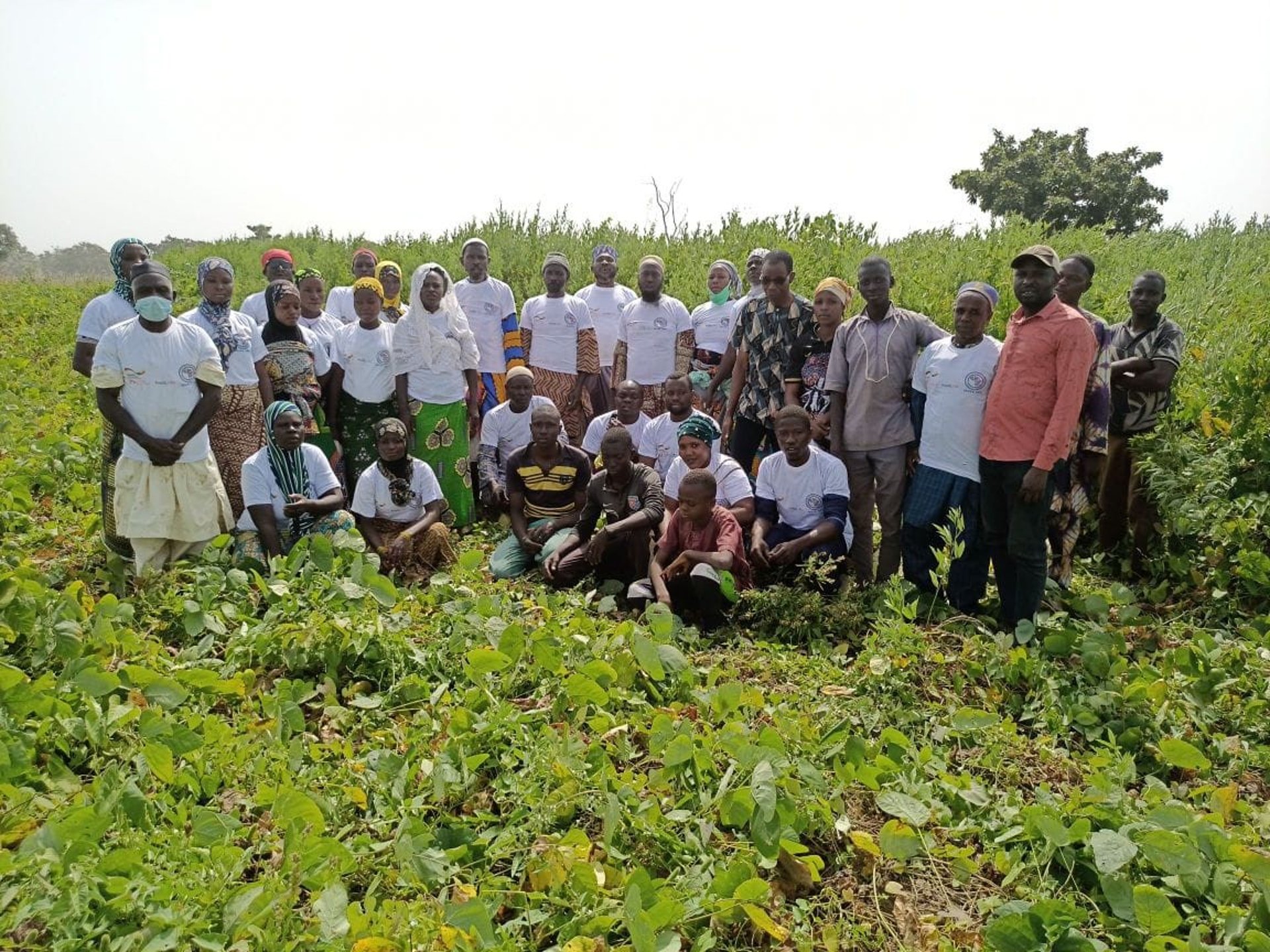 black and brown leather padded tub sofa