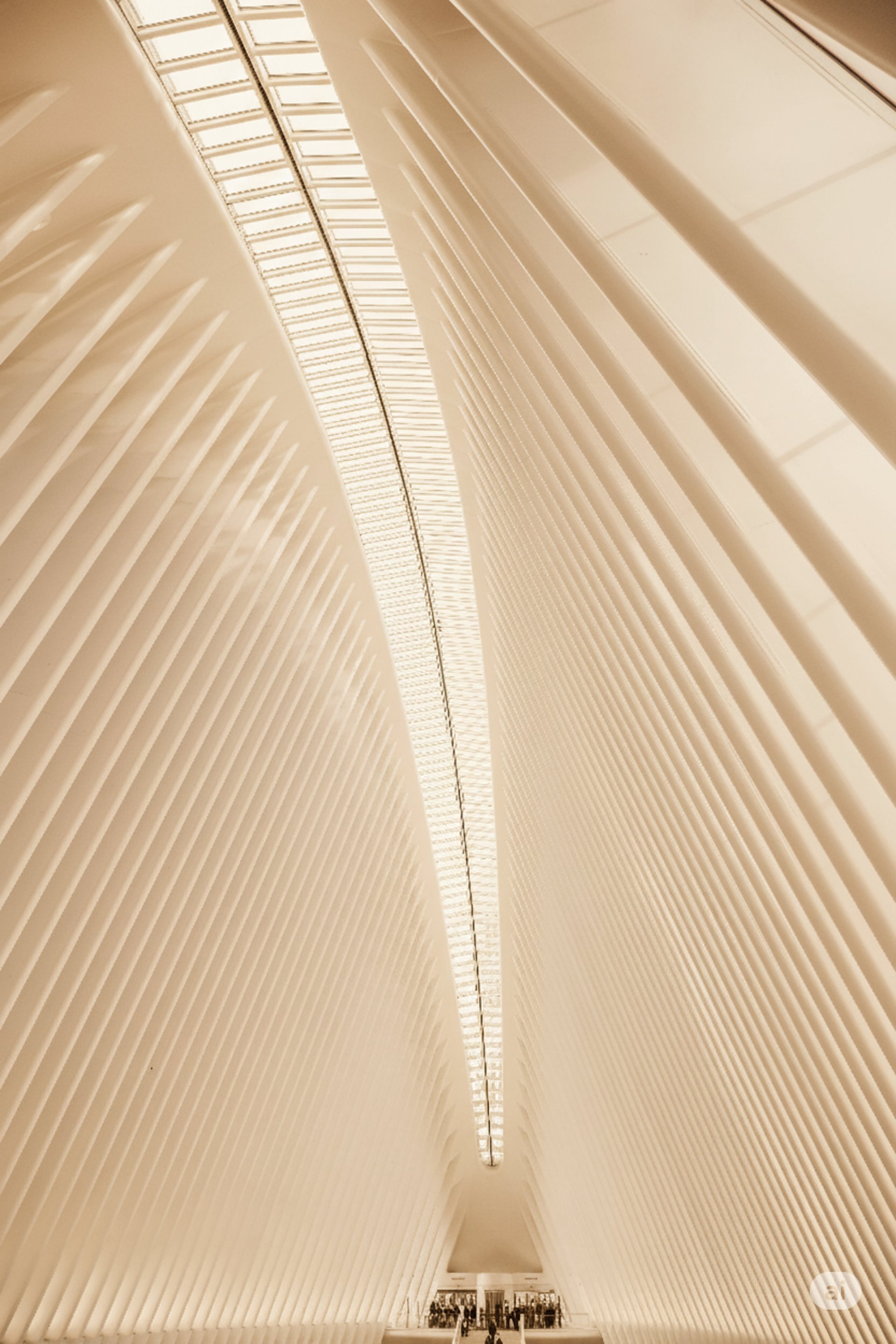 an abstract photo of a curved building with a blue sky in the background