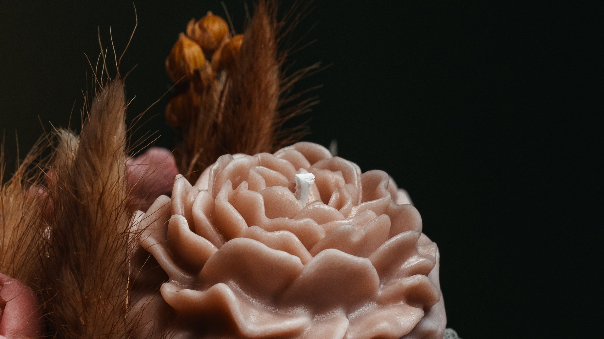 woman holding dried flower