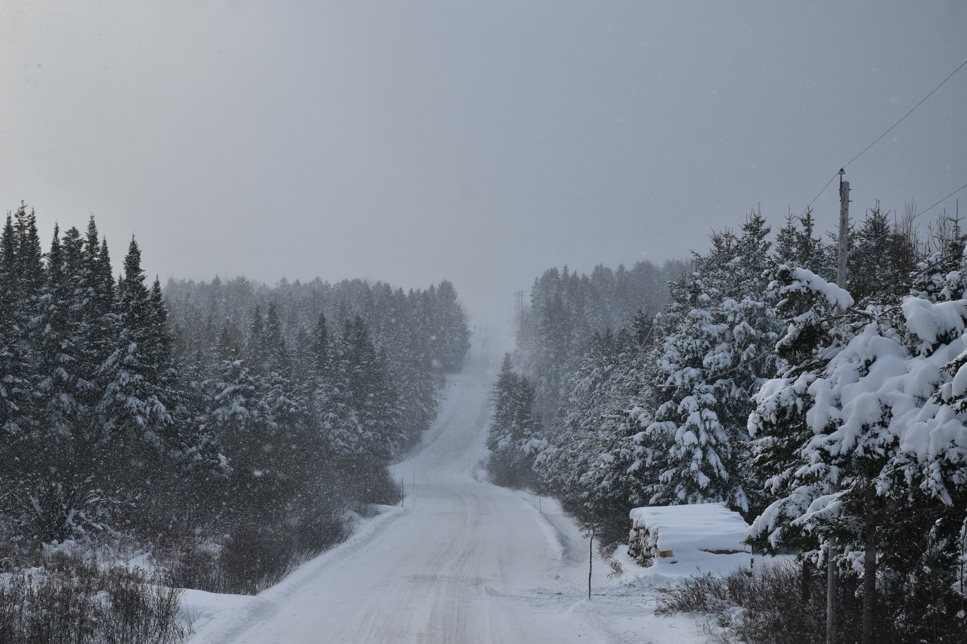 a view of a snowy forest from a window