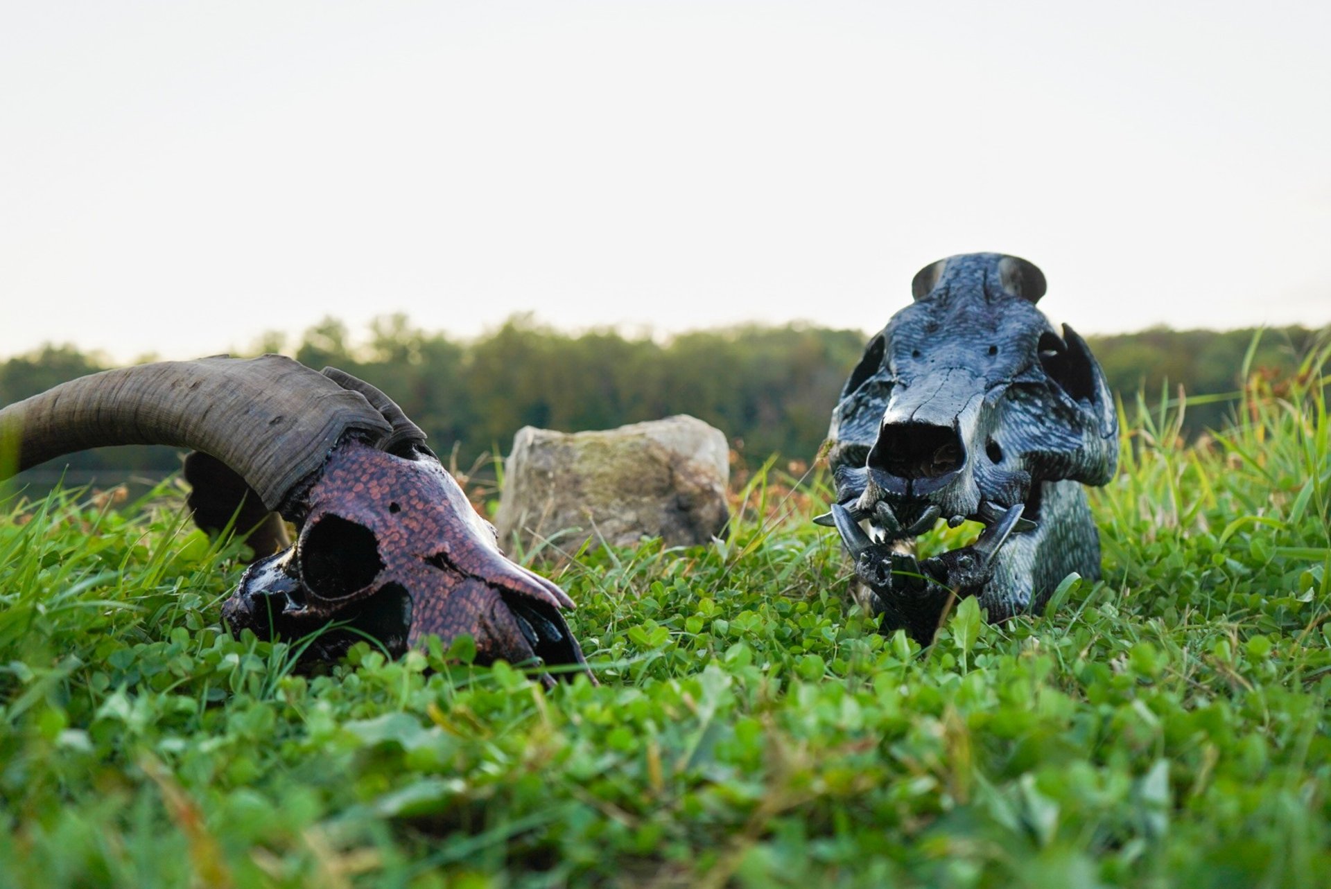 gray computer monitor
