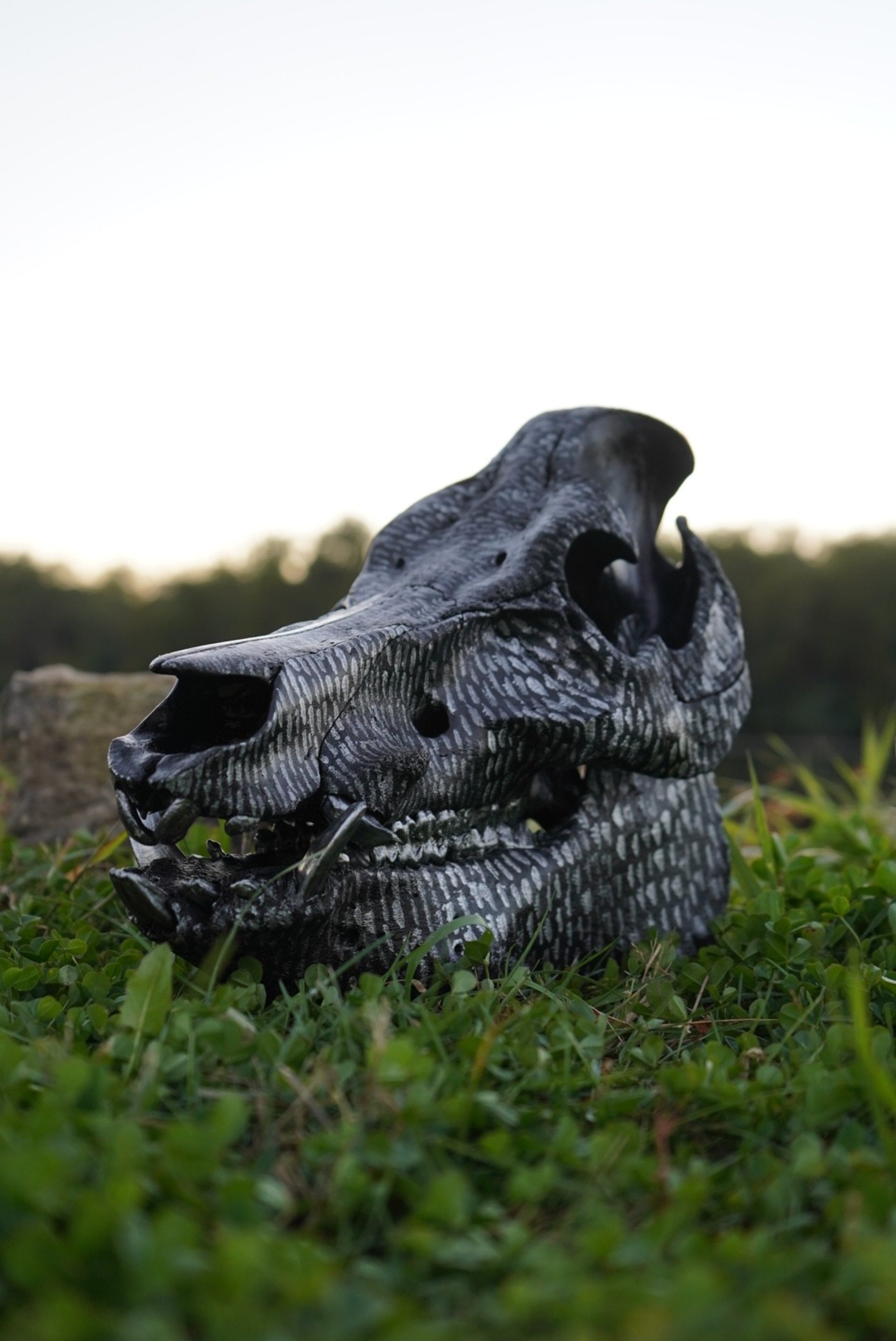 woman holding dried flower
