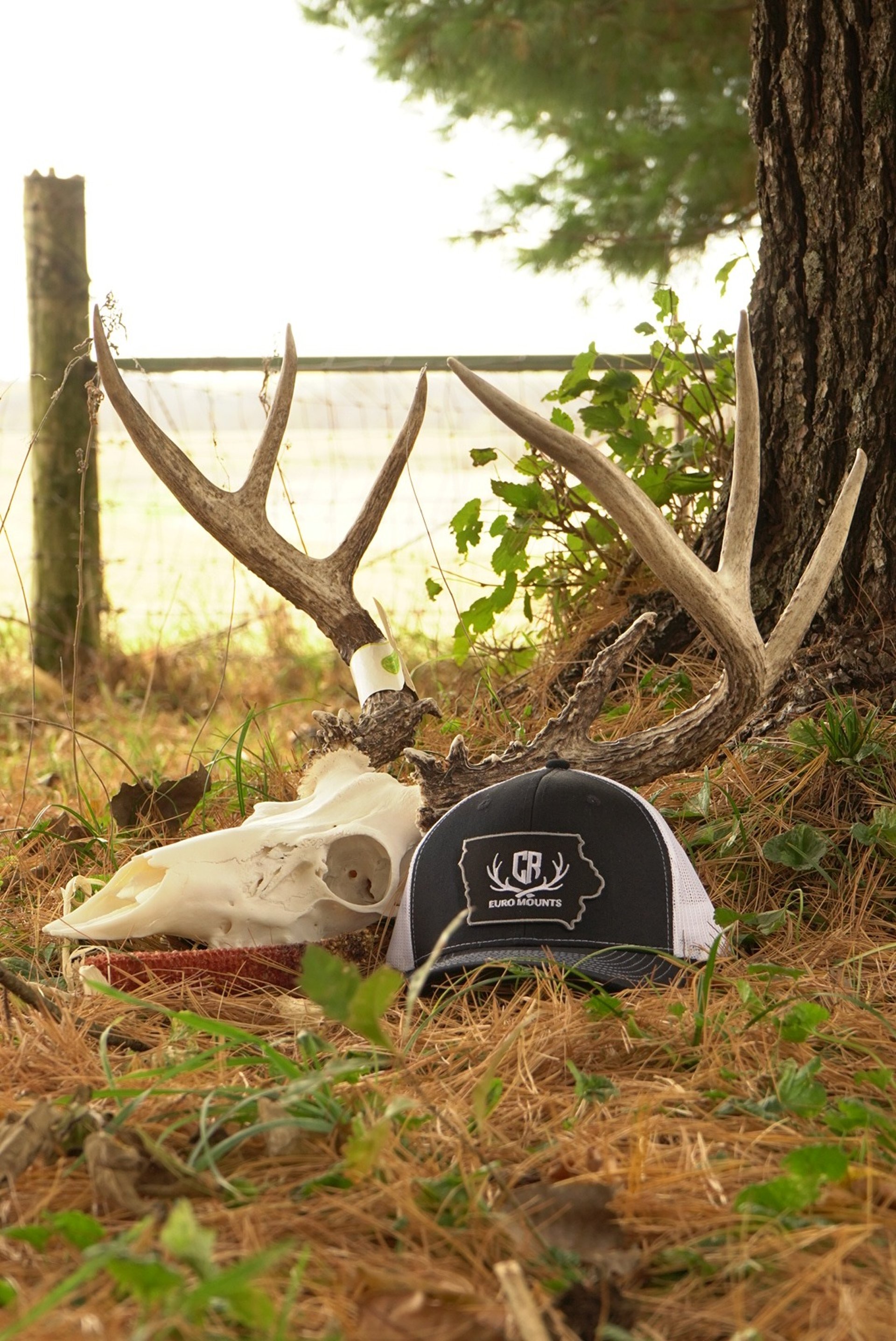 woman holding dried flower