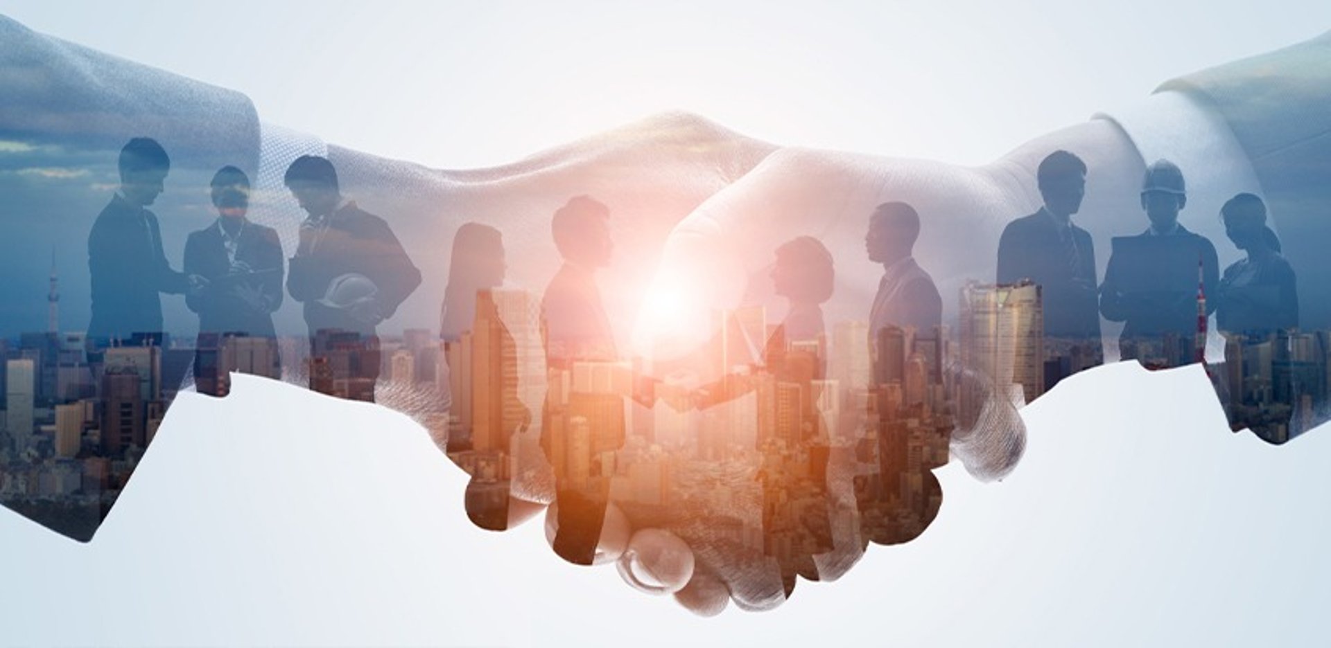 a group of white and orange objects