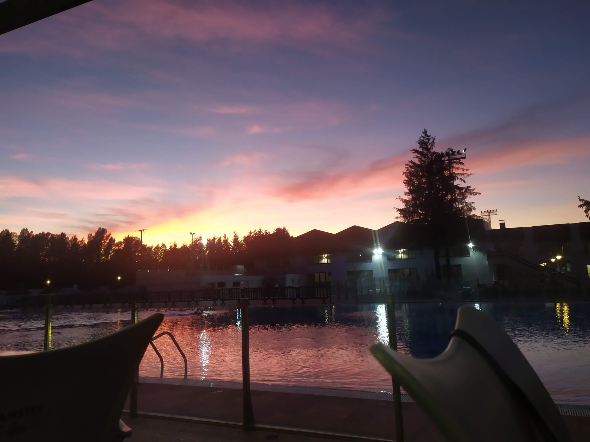 a window that has a tree outside of it