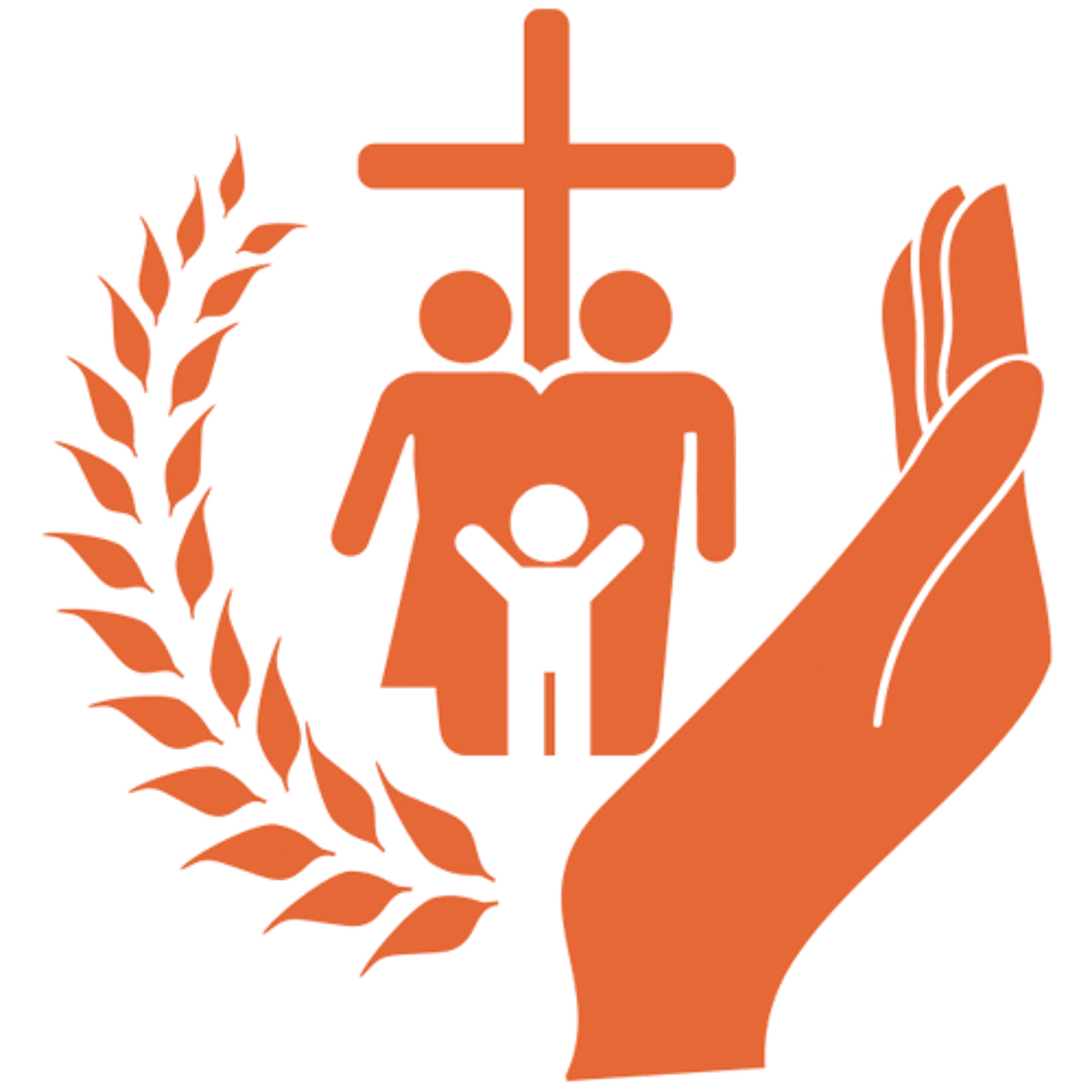 yellow sunflower field during daytime