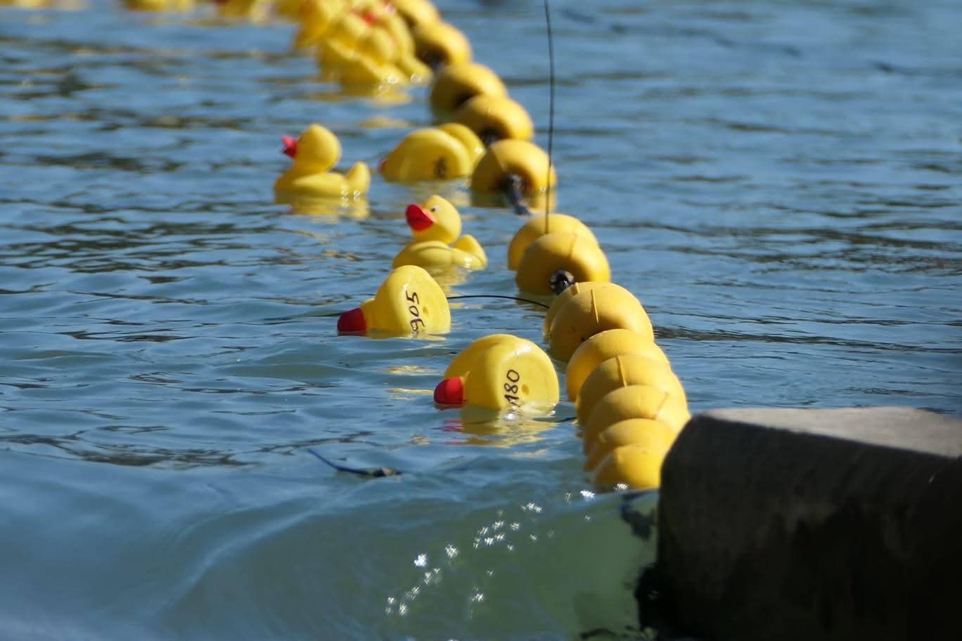 an abstract photo of a curved building with a blue sky in the background