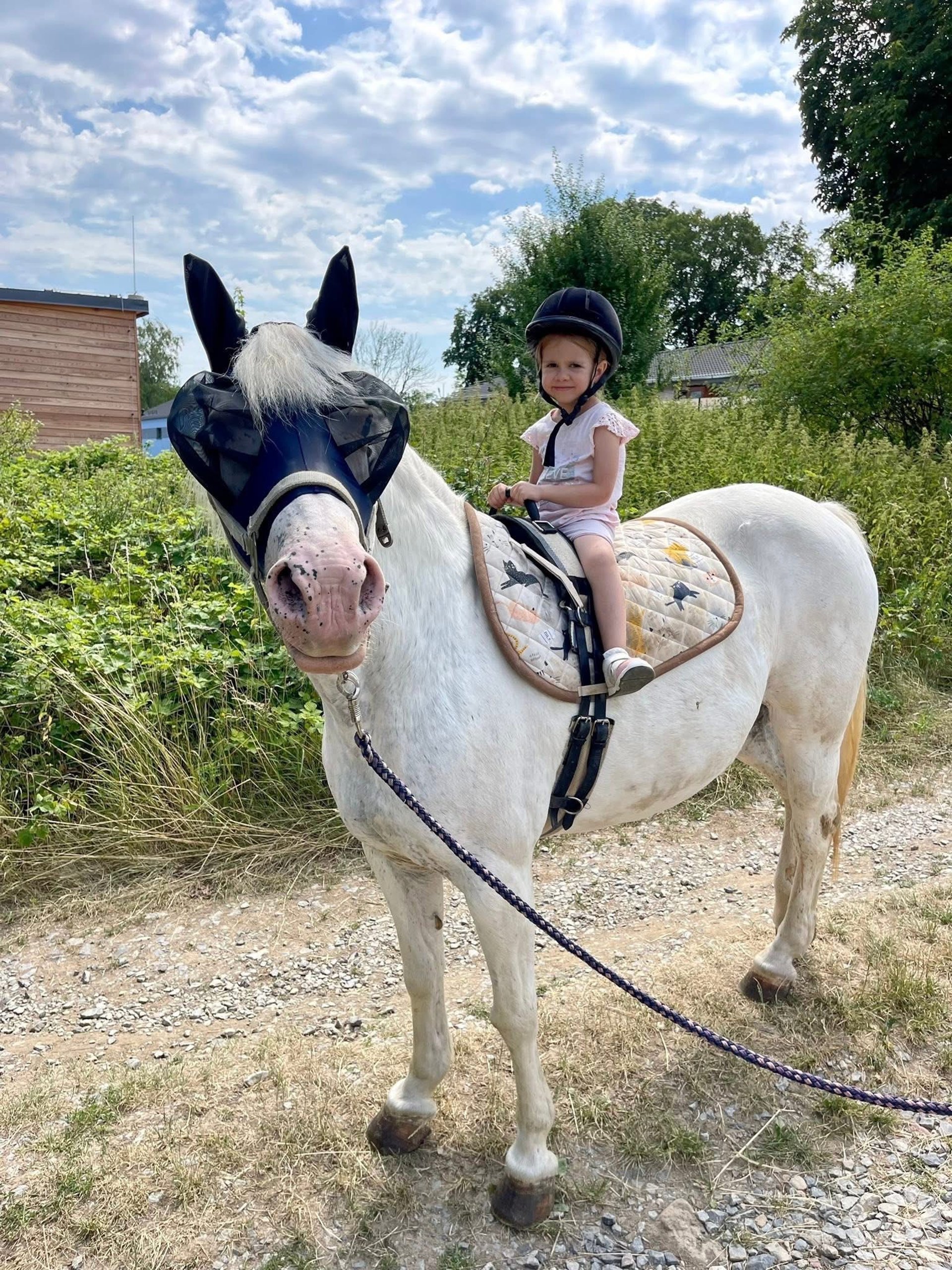 brown concrete building near body of water during daytime