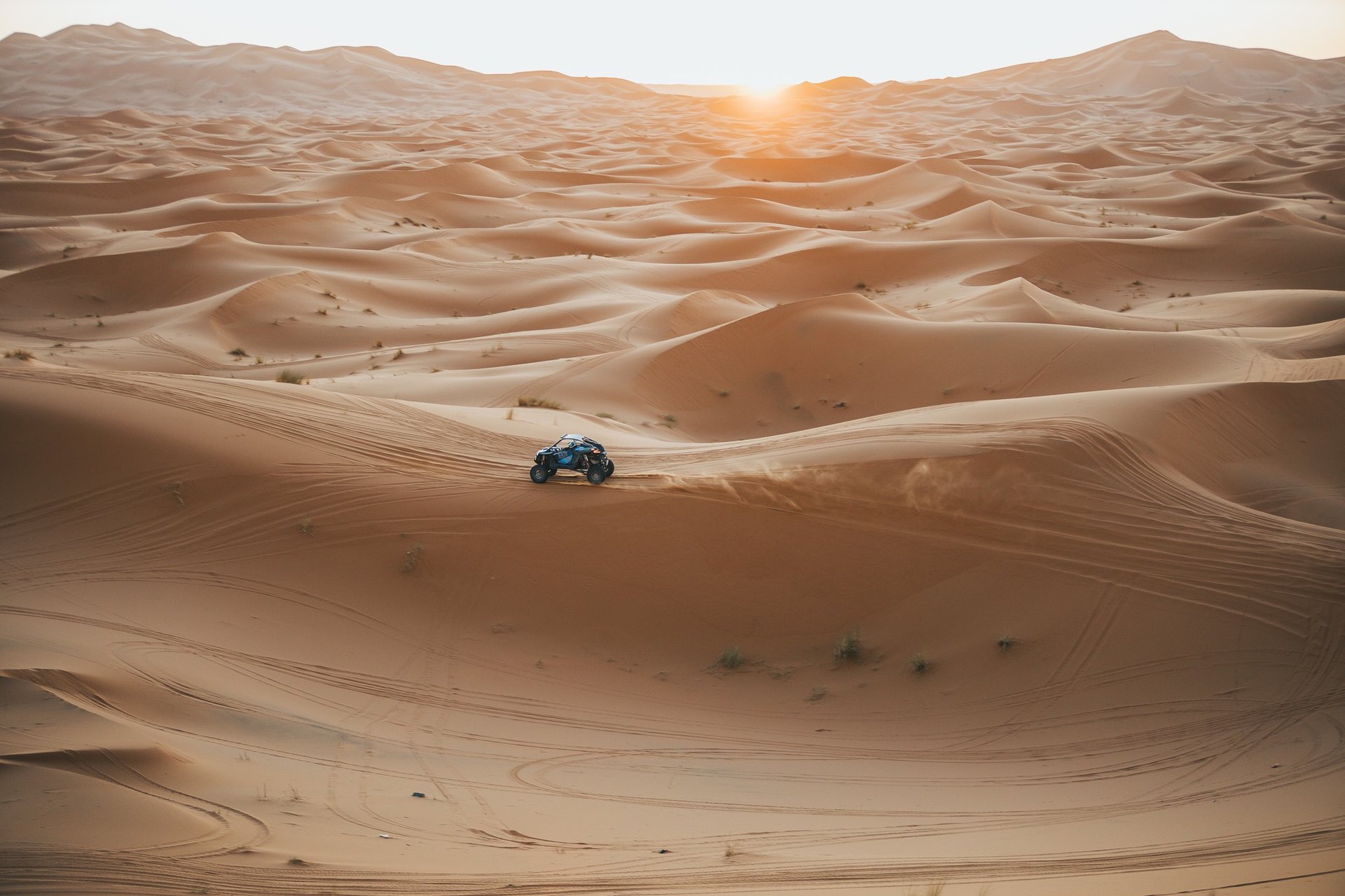 black and brown leather padded tub sofa
