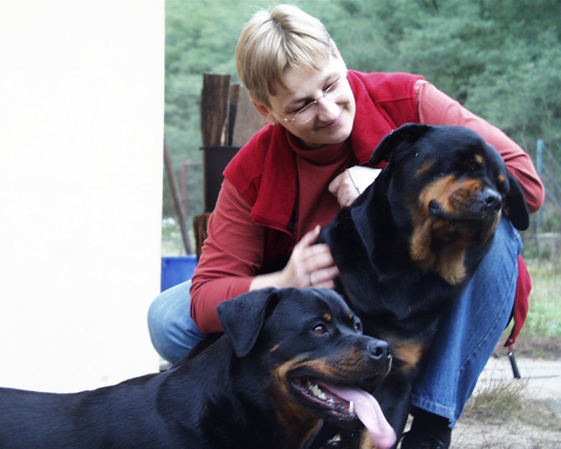 Frau massiert einen Rottweiler nach Pfotenamutation