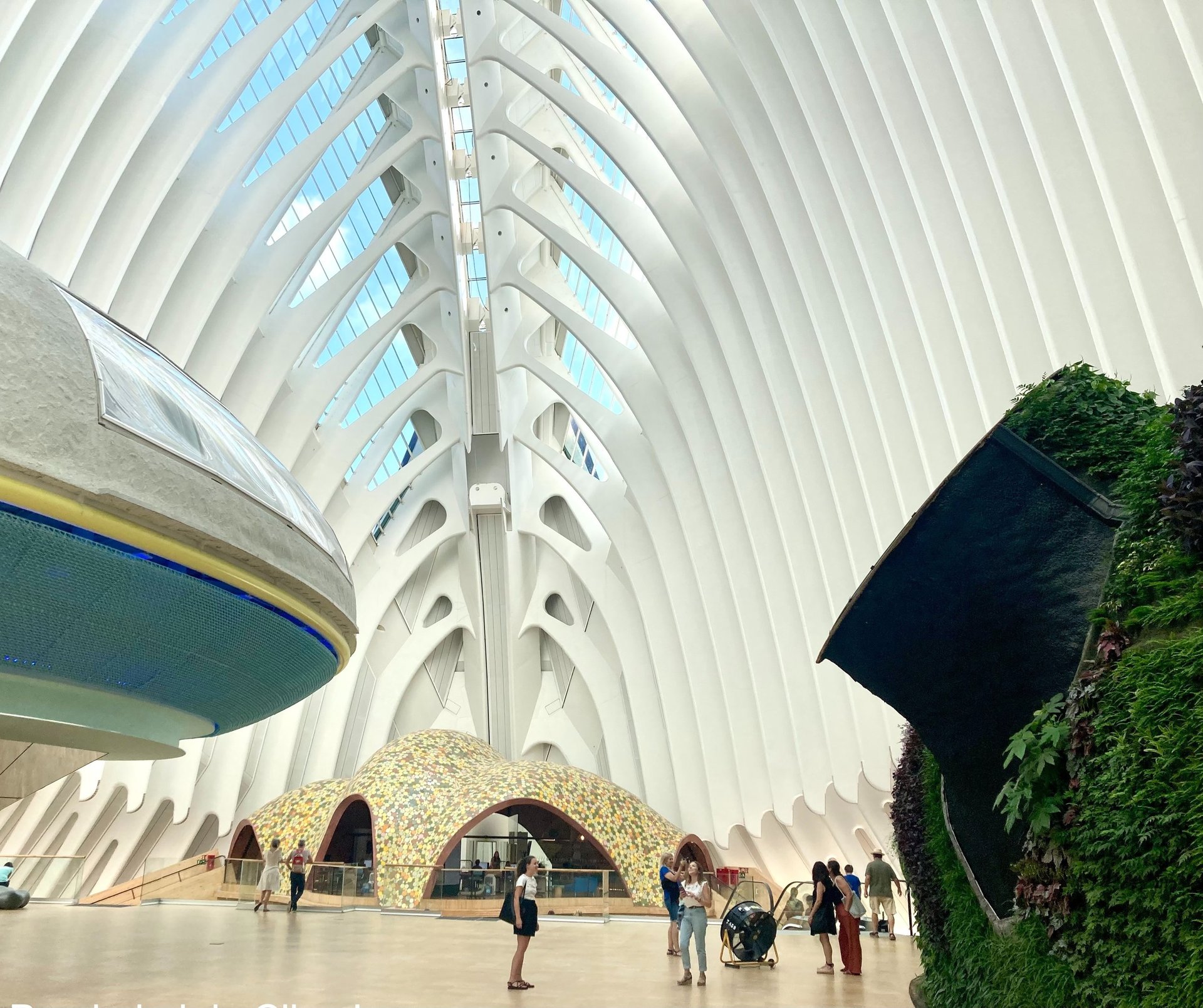 an abstract photo of a curved building with a blue sky in the background