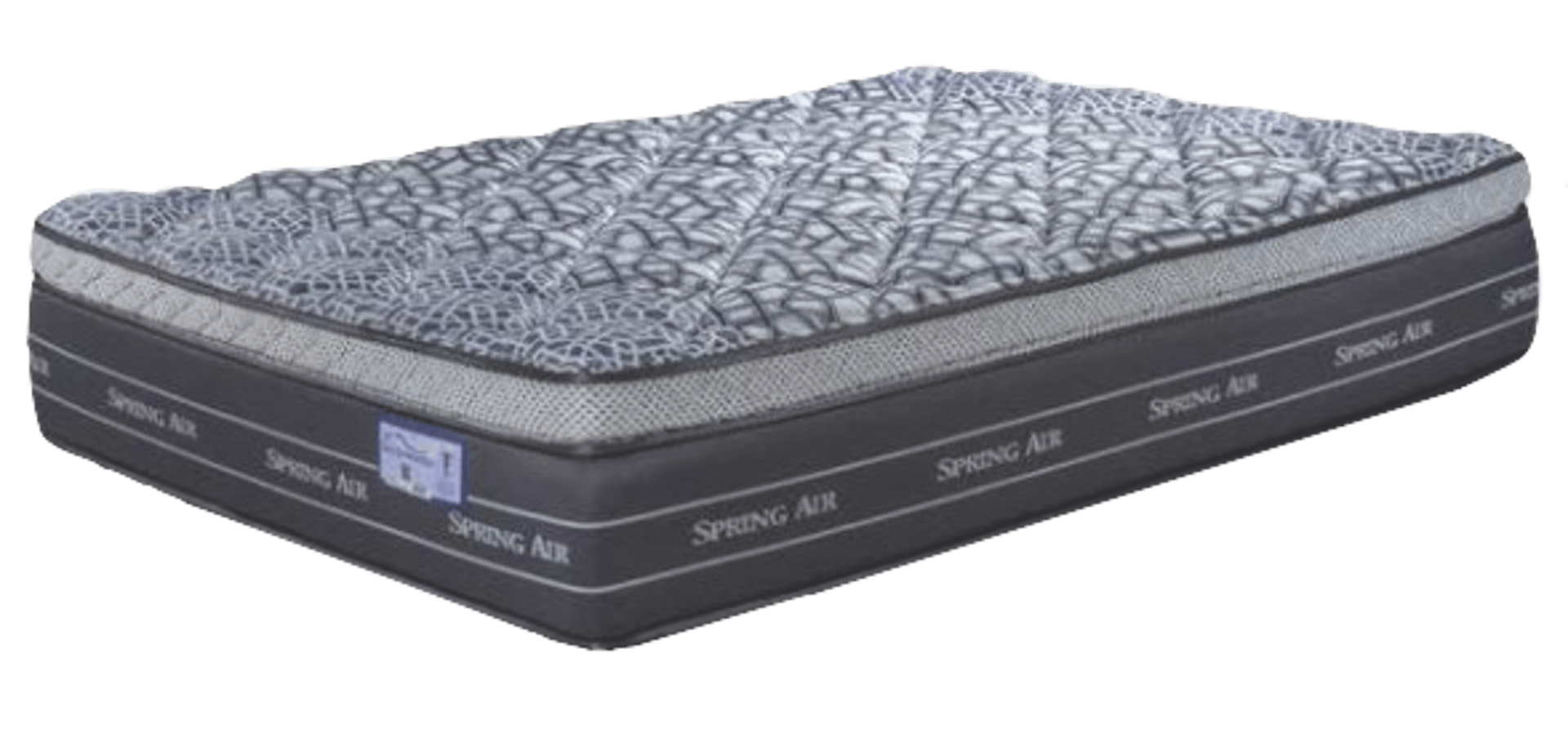 woman holding dried flower