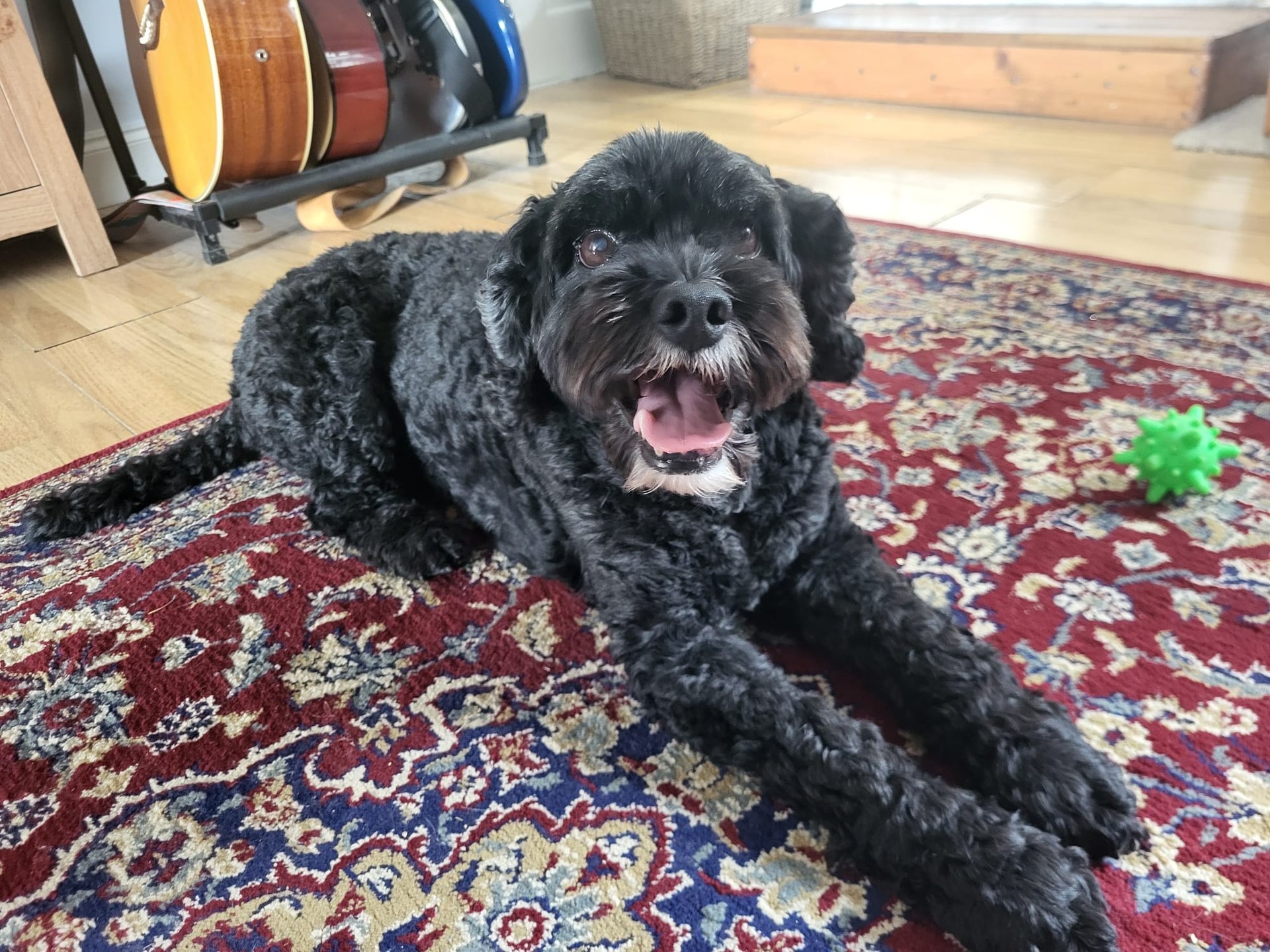 an abstract photo of a curved building with a blue sky in the background