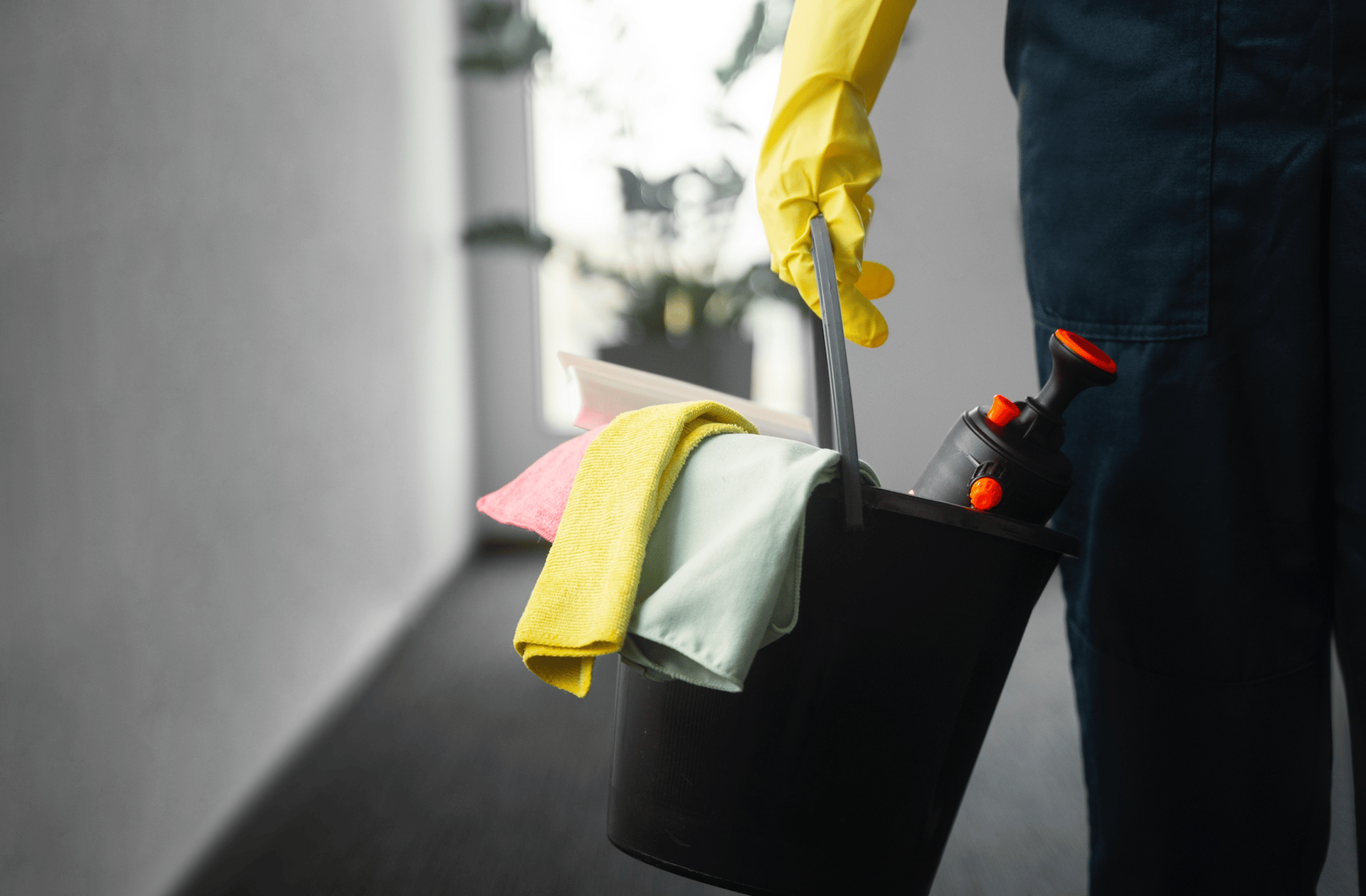 opportunite d'entreprise de services à la personne à vendre