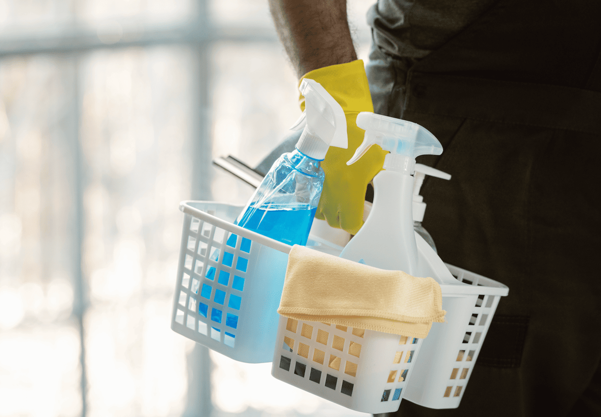 offre entreprise services à la personne, nettoyage