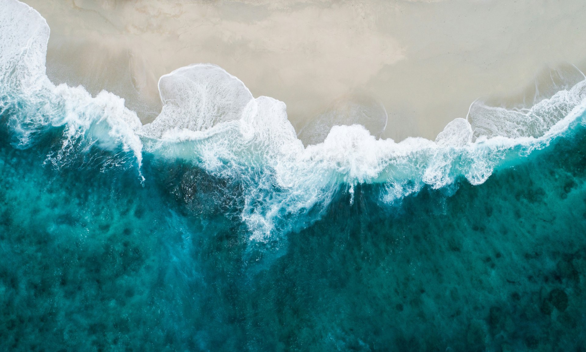 green trees beside blue sea during daytime