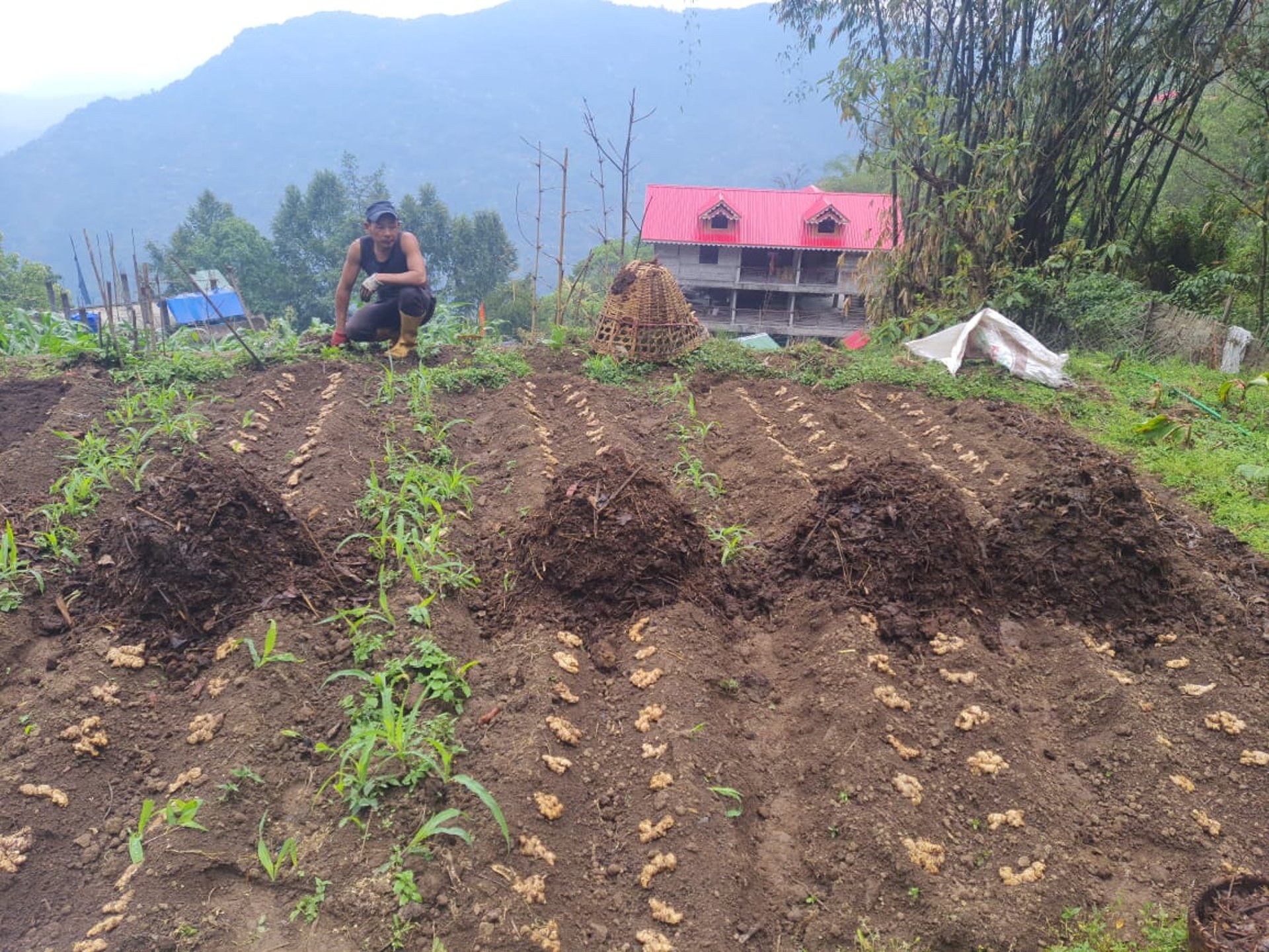 black and brown leather padded tub sofa