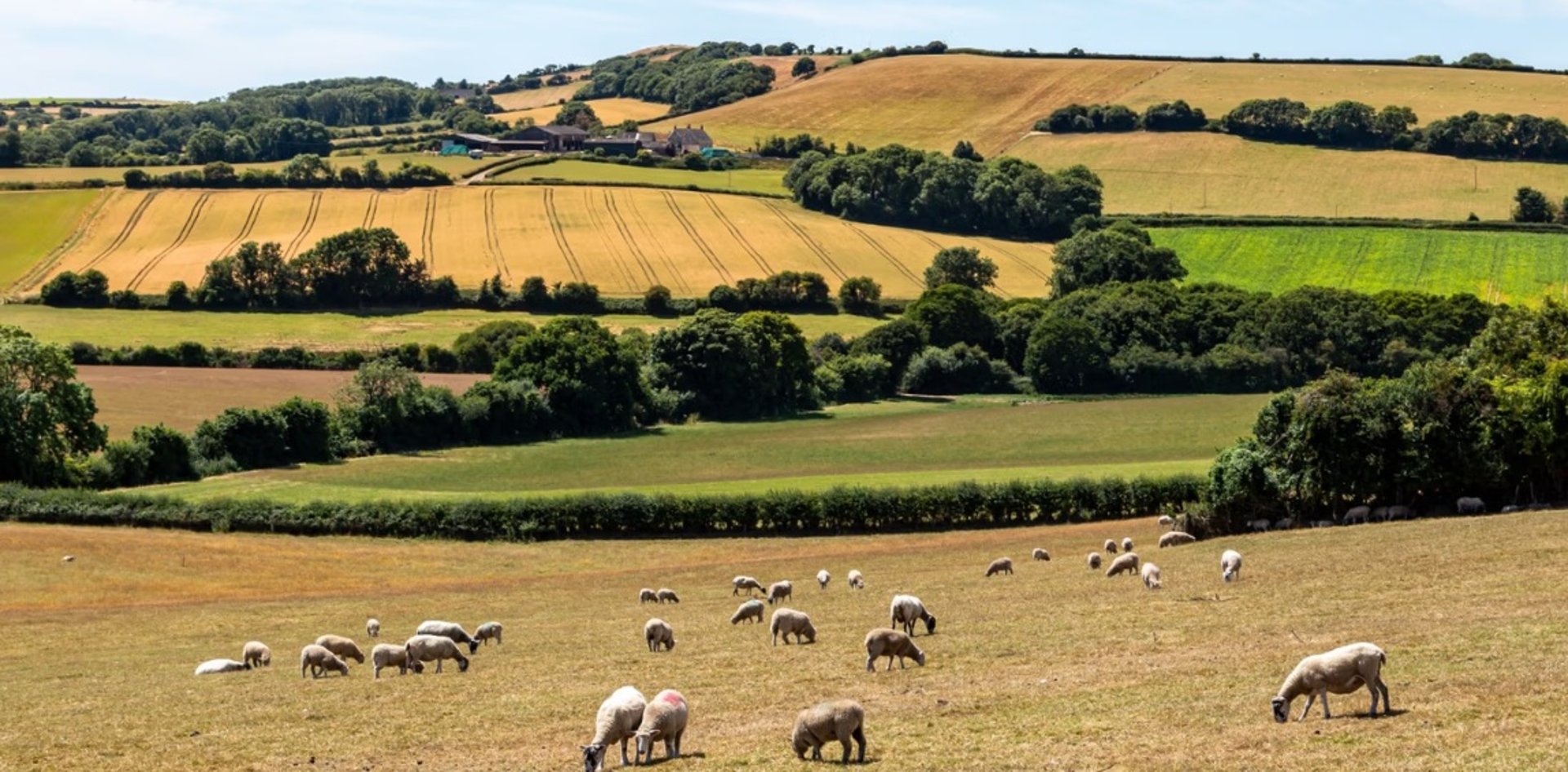 black and brown leather padded tub sofa