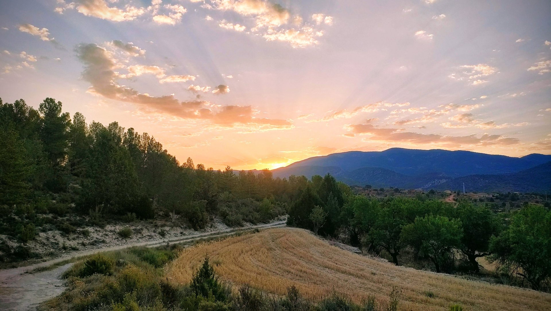 woman wearing yellow long-sleeved dress under white clouds and blue sky during daytime