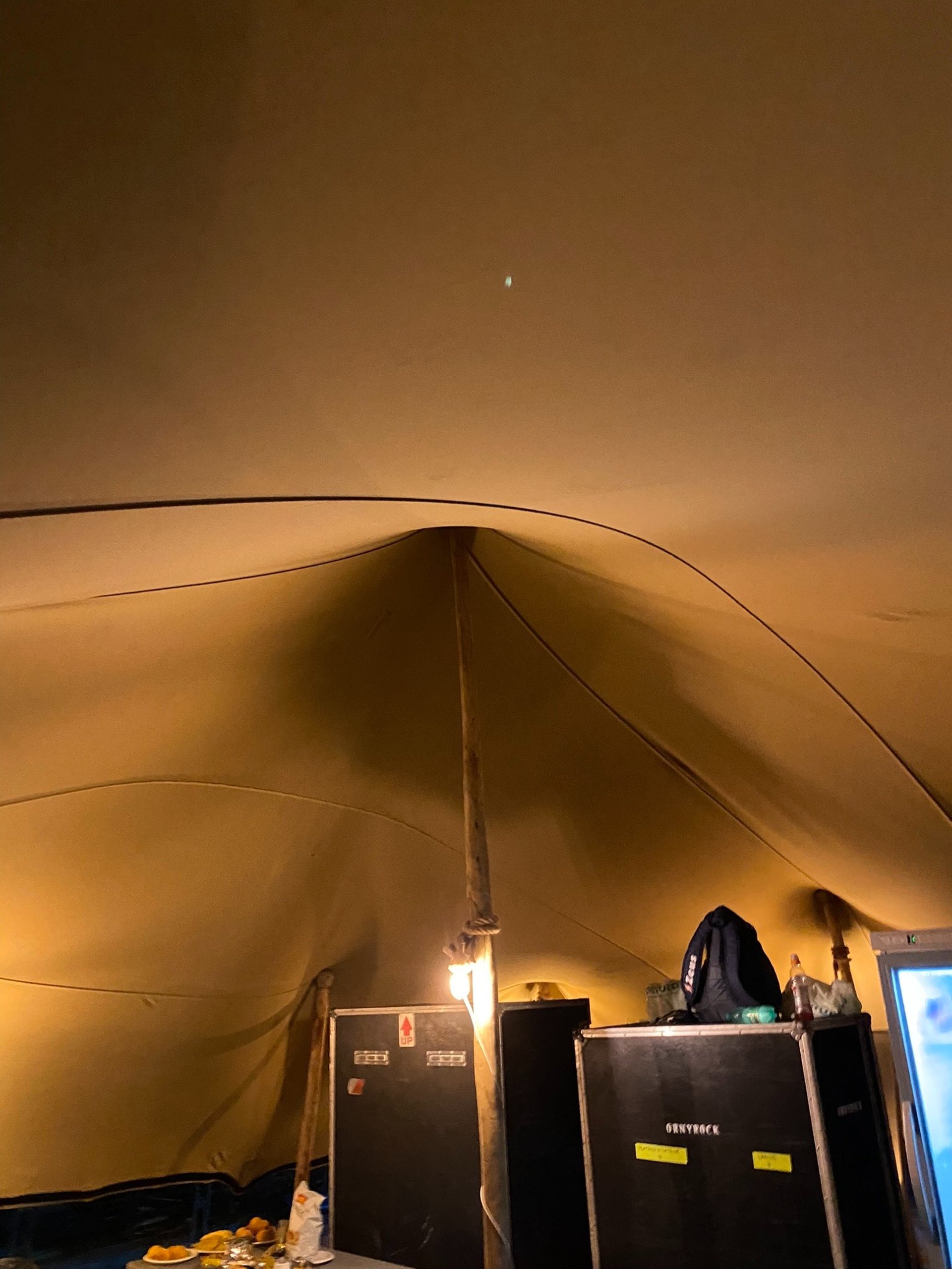 green moss on gray rock