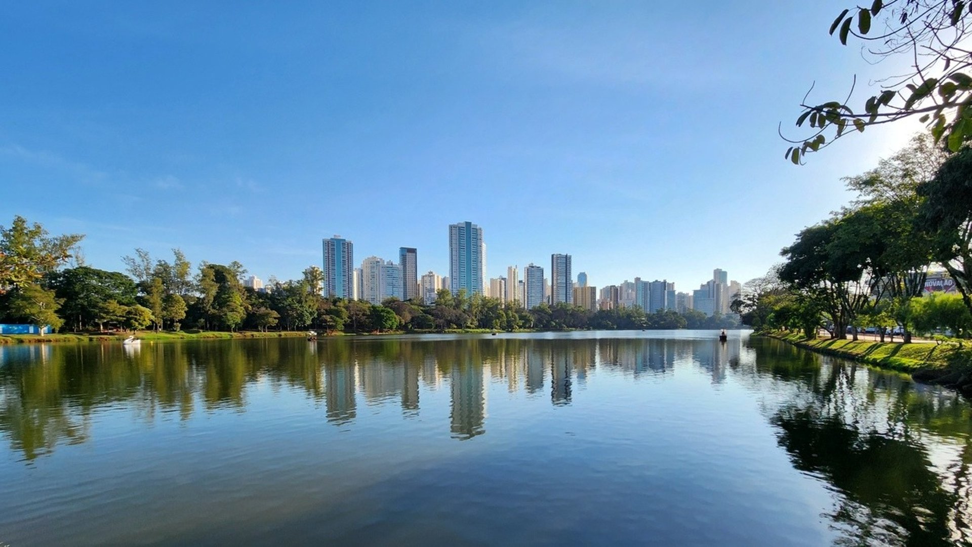 white boat by the dock