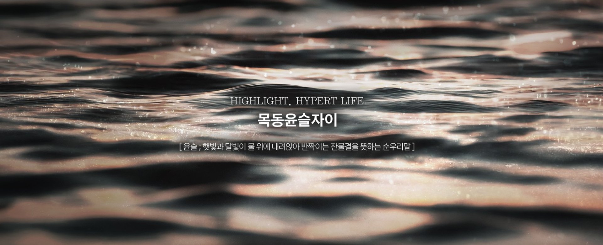 Sunlight sparkles on rippling dark water.