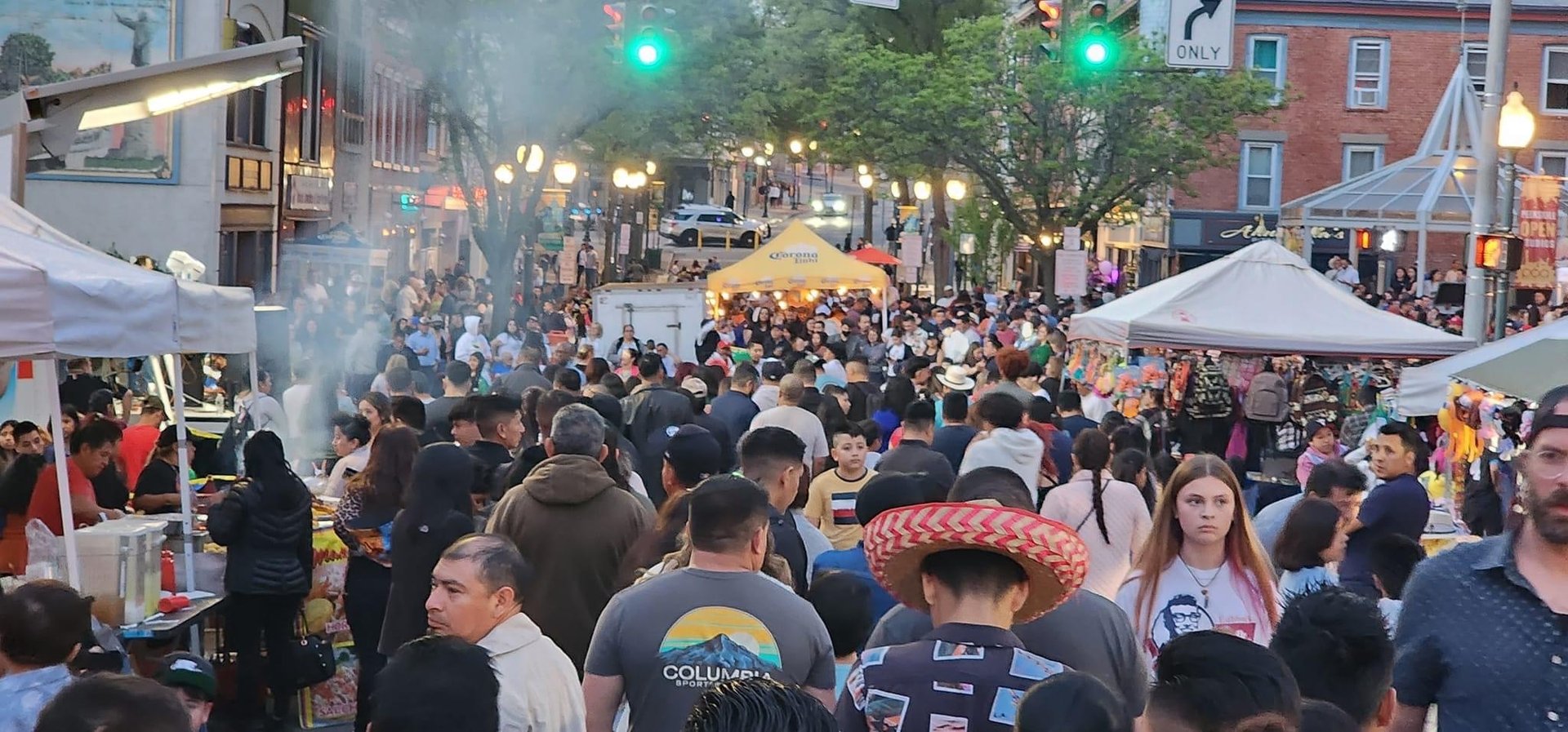 herd of cow in grass field during daytime