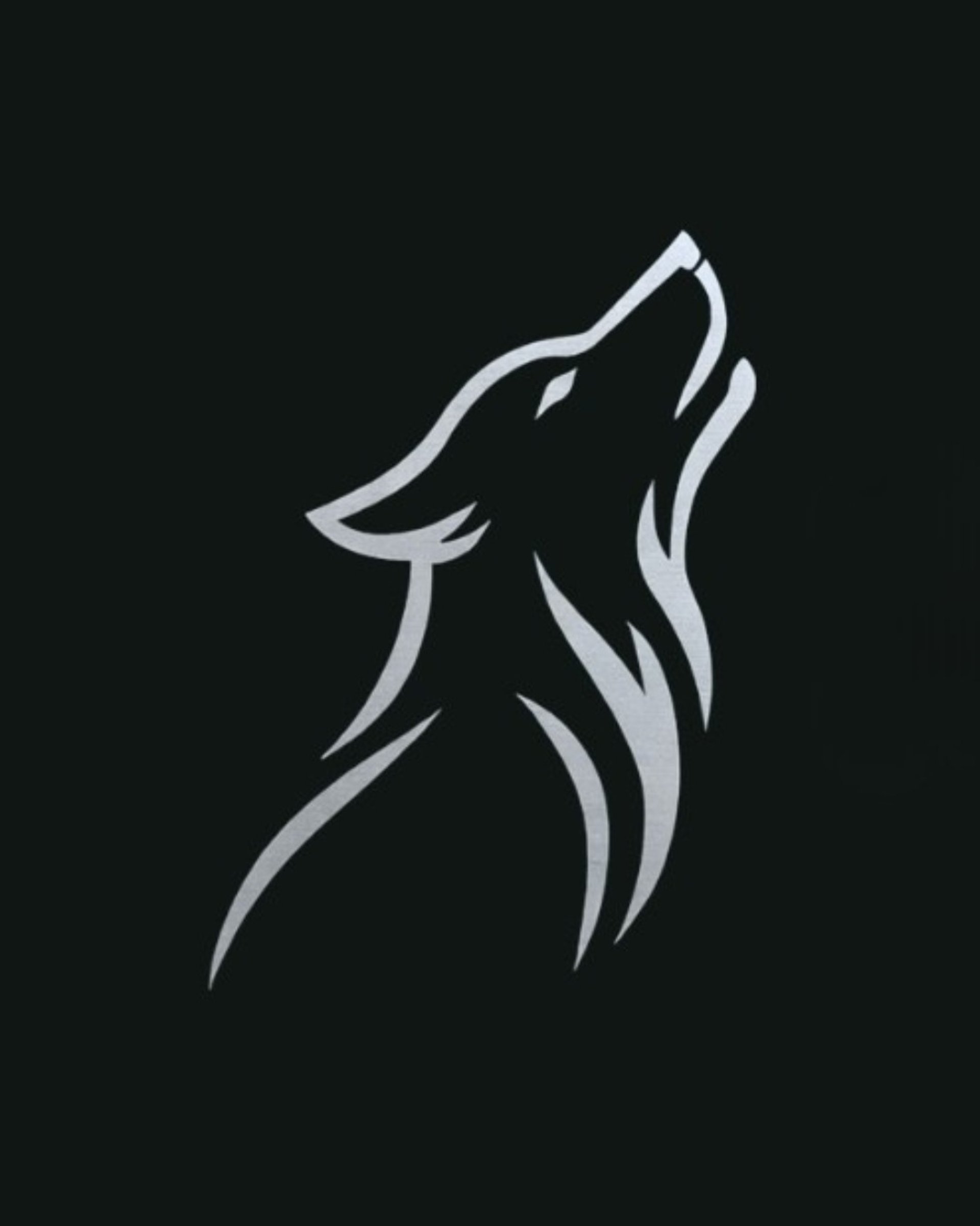 Woman stirring food in a pot on a gas stove.