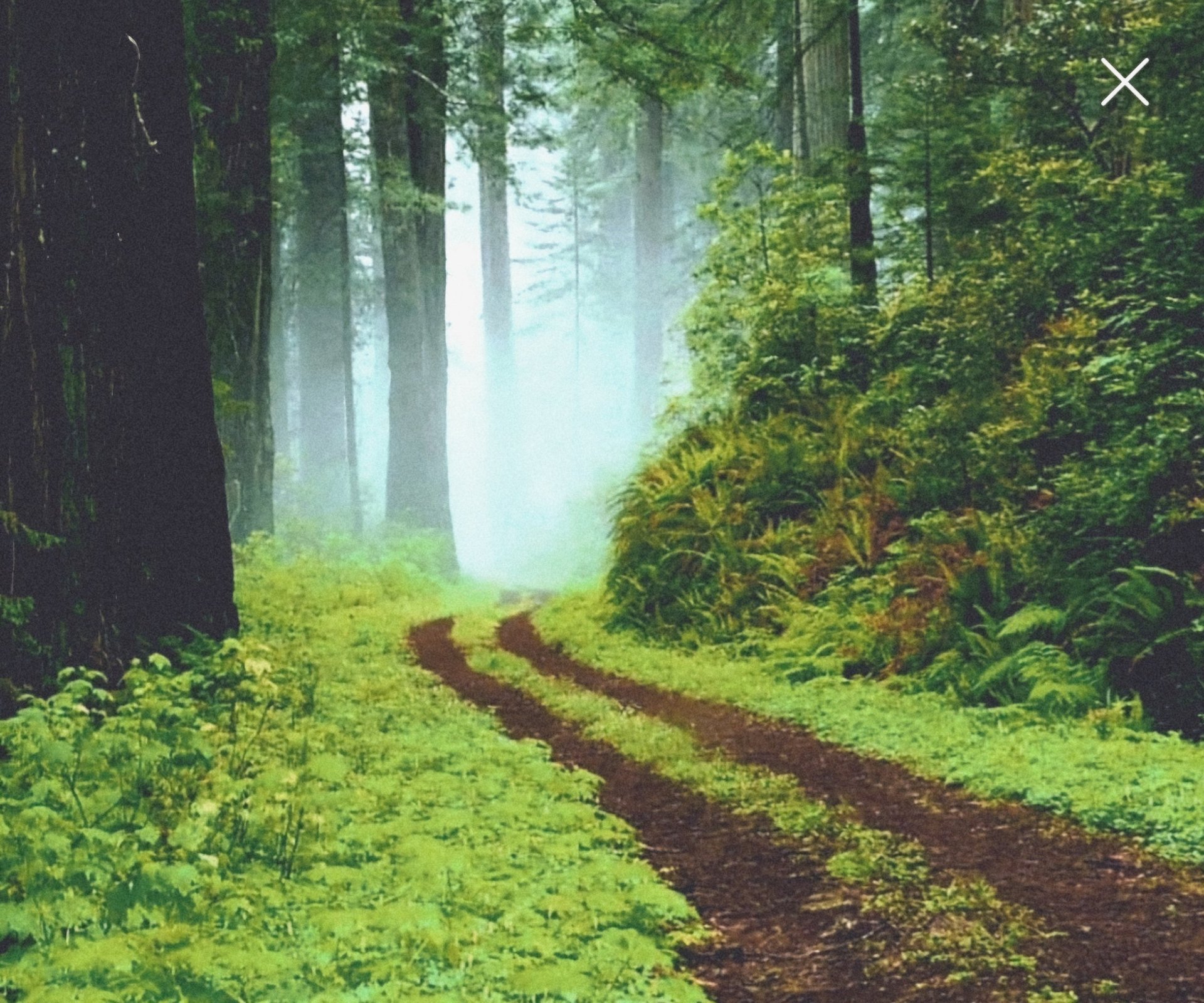 woman wearing yellow long-sleeved dress under white clouds and blue sky during daytime