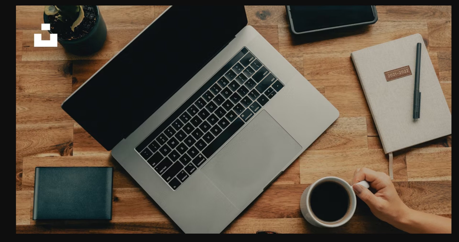 woman holding dried flower