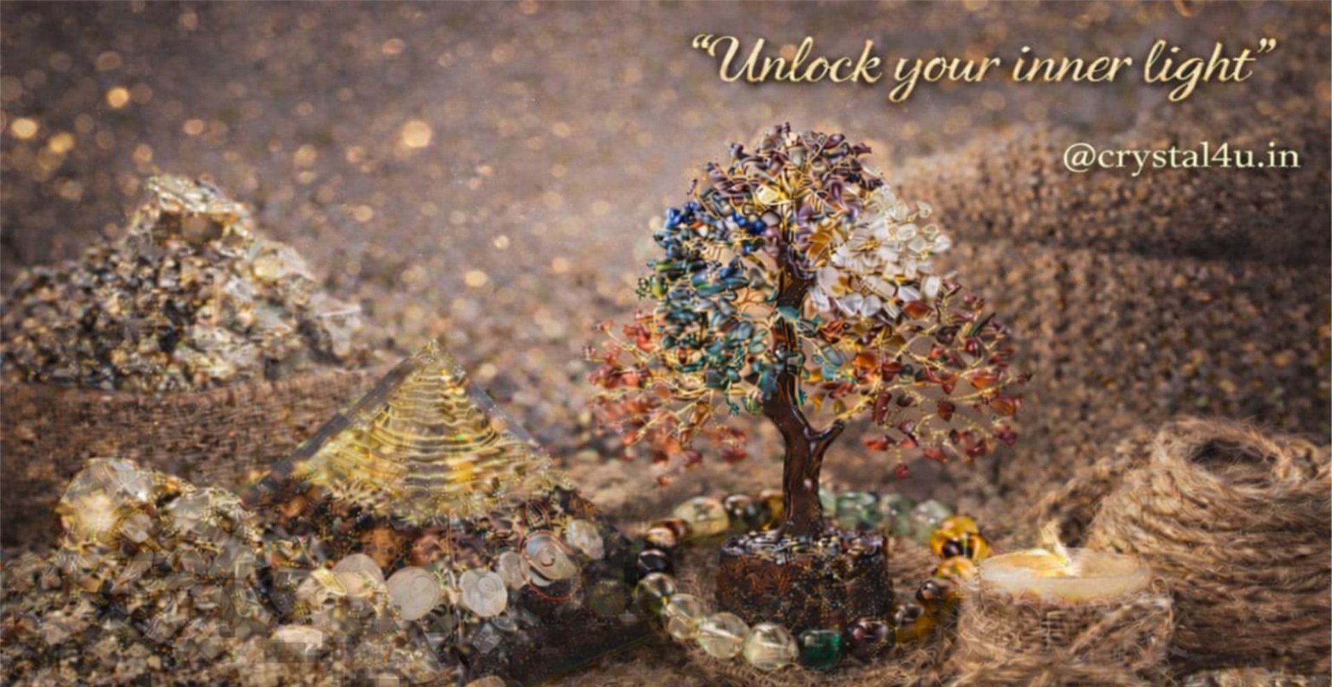 woman holding dried flower