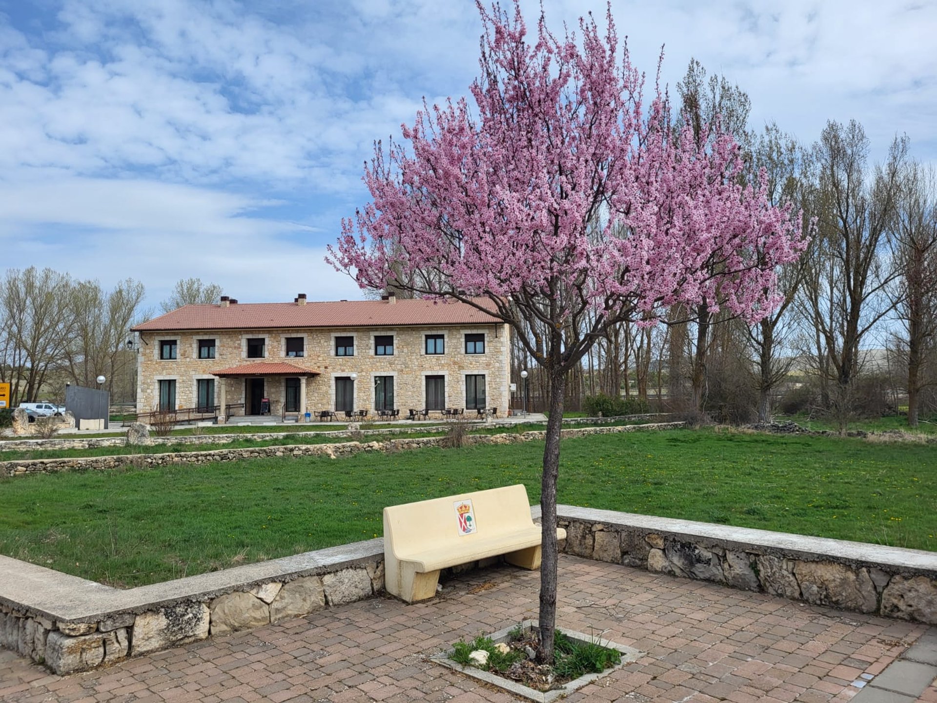 woman wearing yellow long-sleeved dress under white clouds and blue sky during daytime