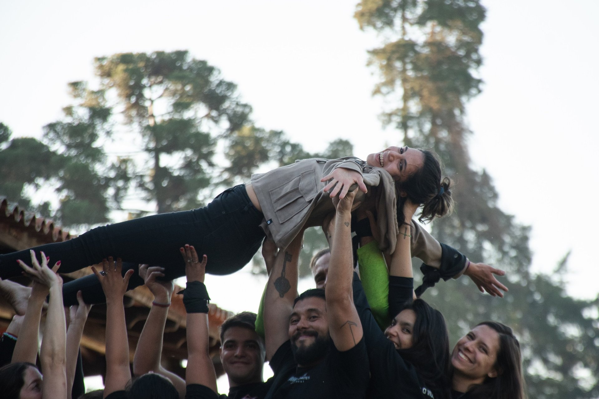 pink and white flowers with green leaves