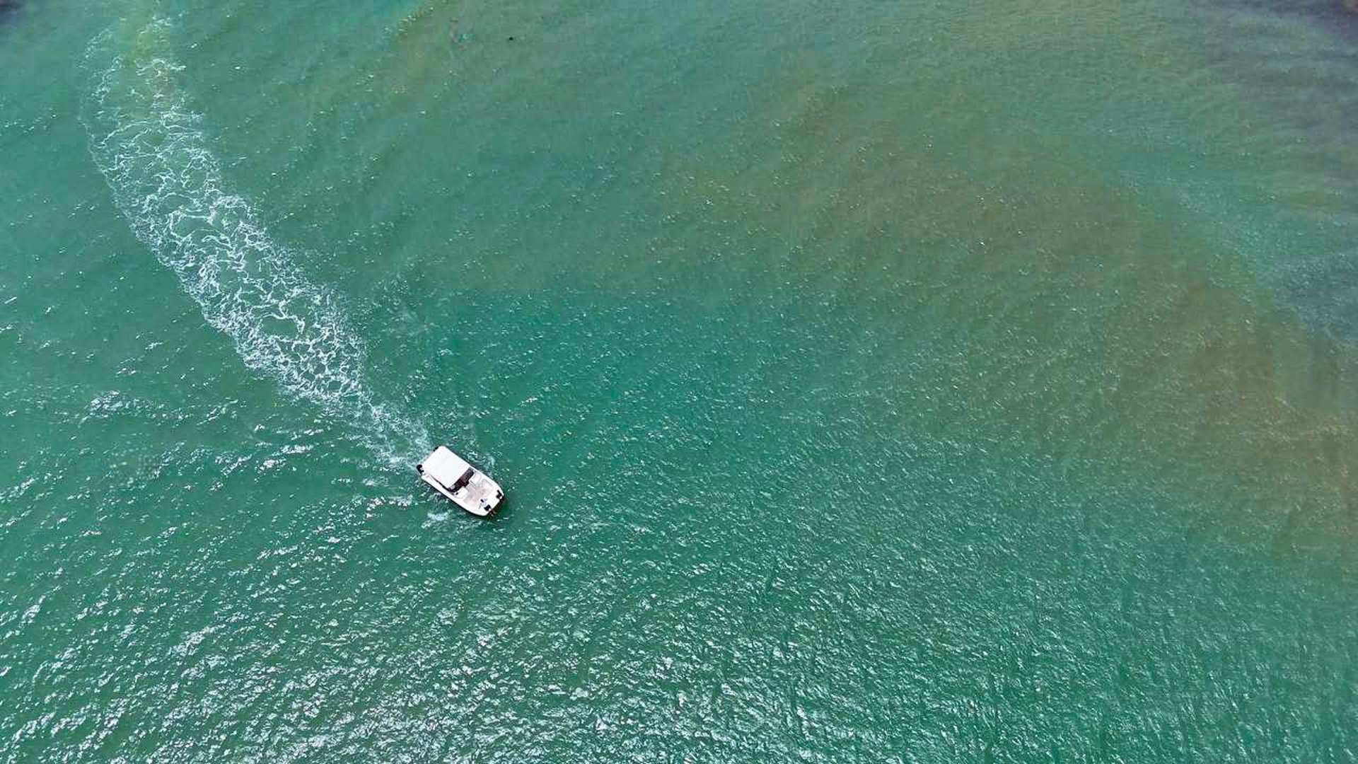 gray computer monitor