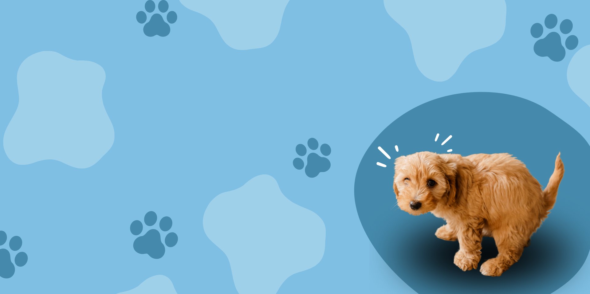 black and brown leather padded tub sofa