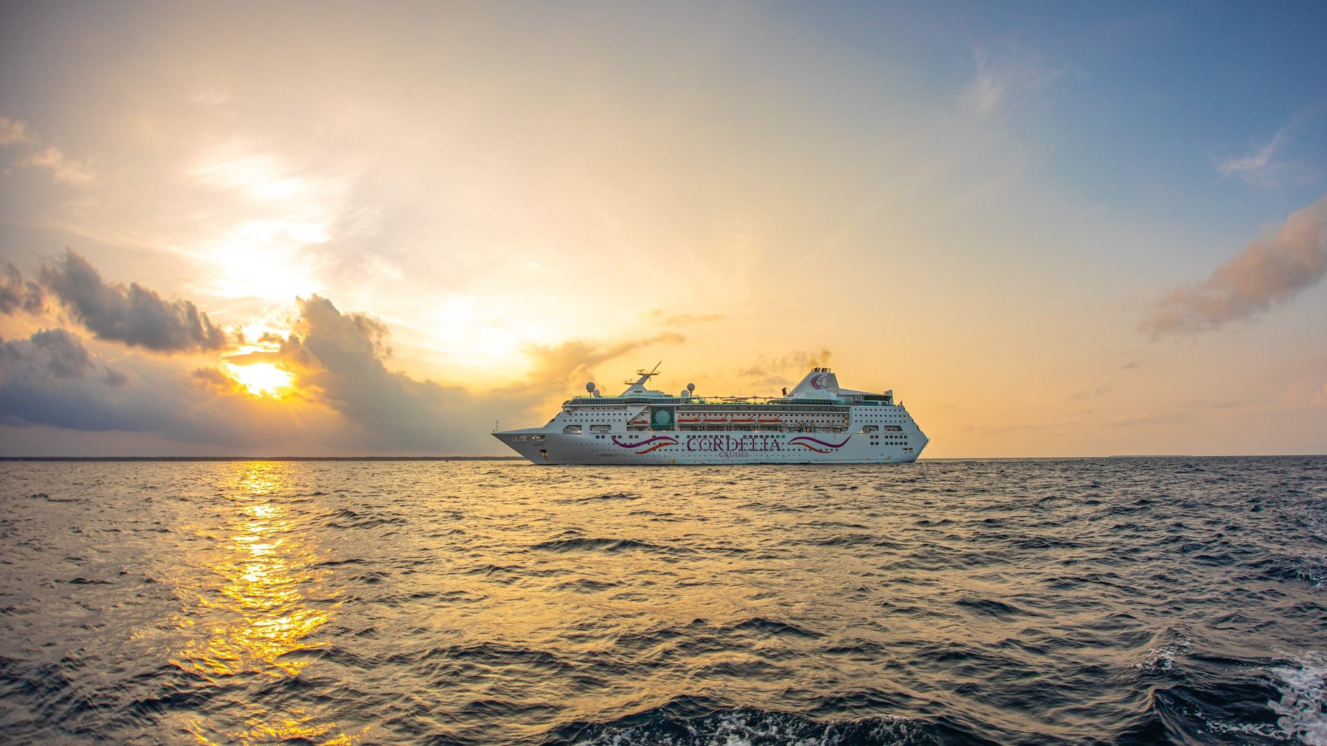 white cruise ship on sea during daytime