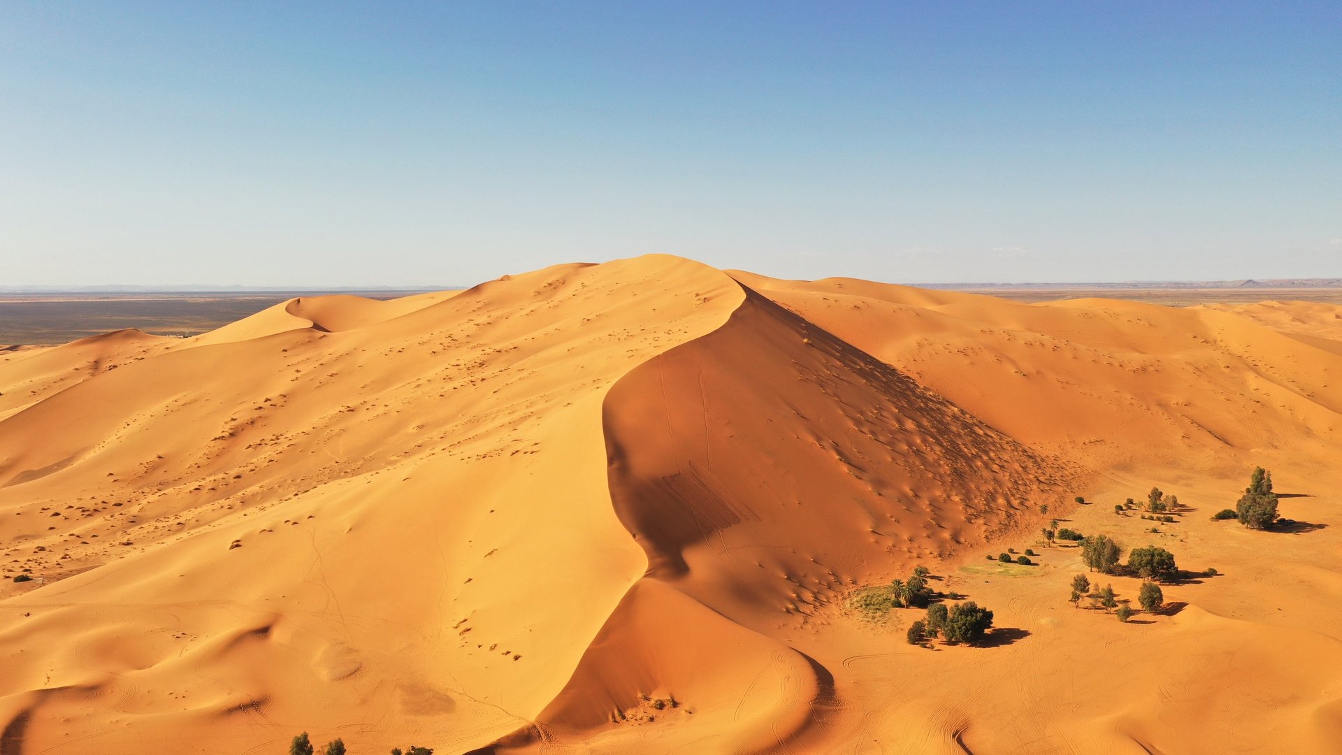 gray computer monitor