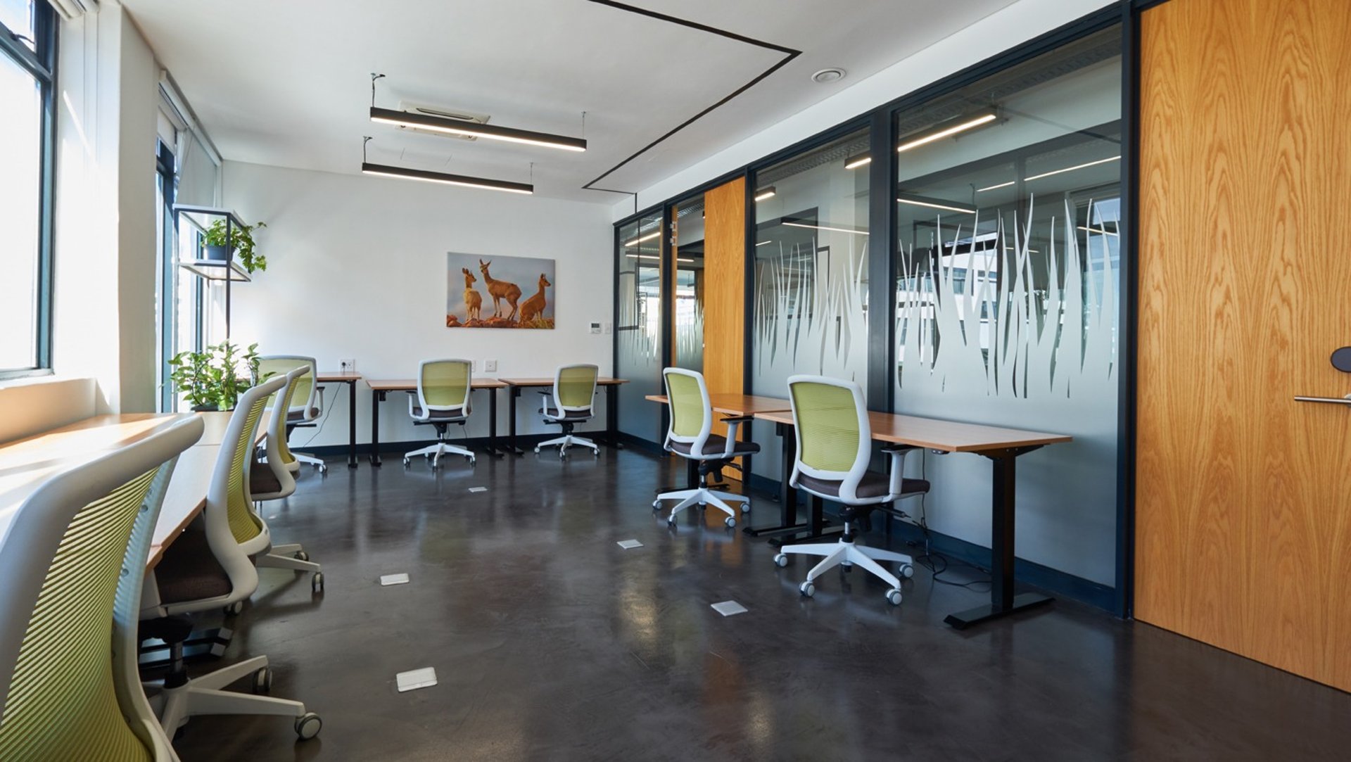 Decorative Cretecote Shale Seamless floor installed by Tswanacrete in Botswana