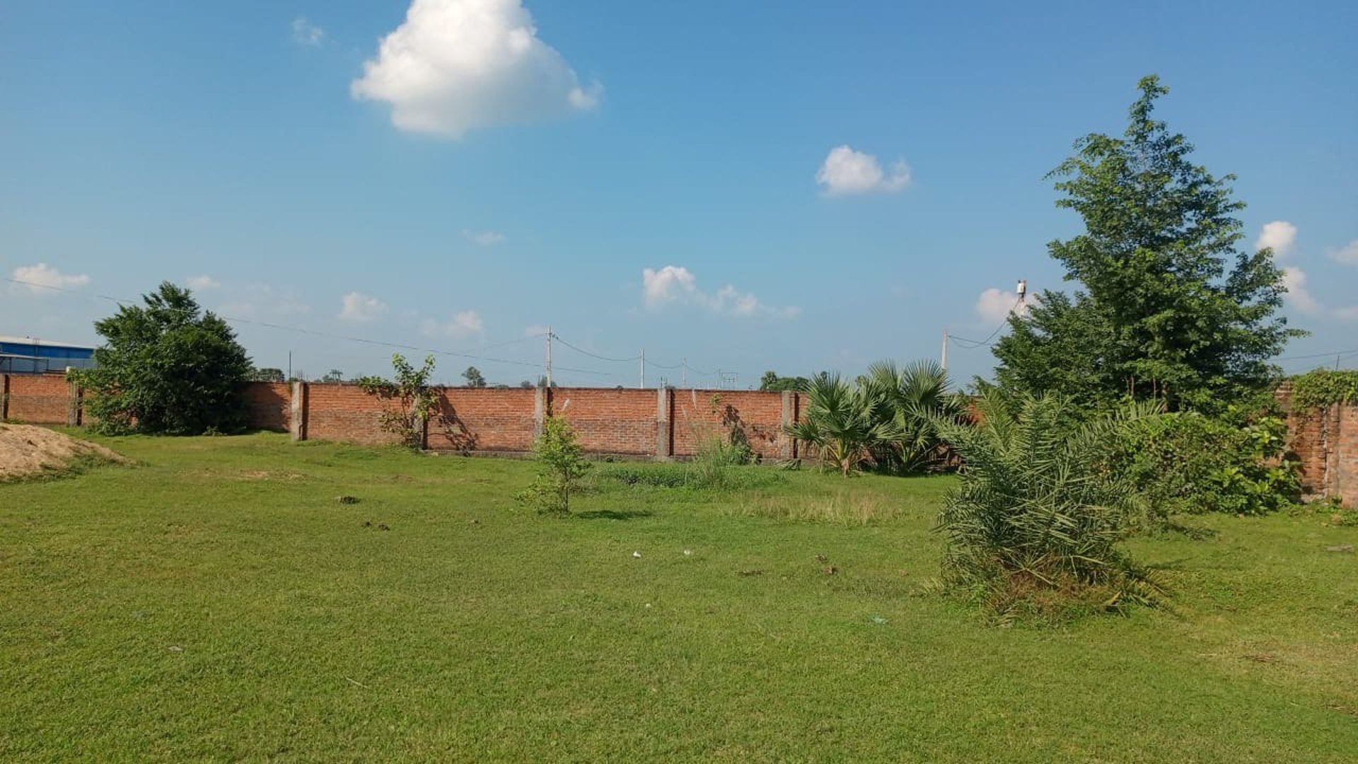 woman wearing yellow long-sleeved dress under white clouds and blue sky during daytime