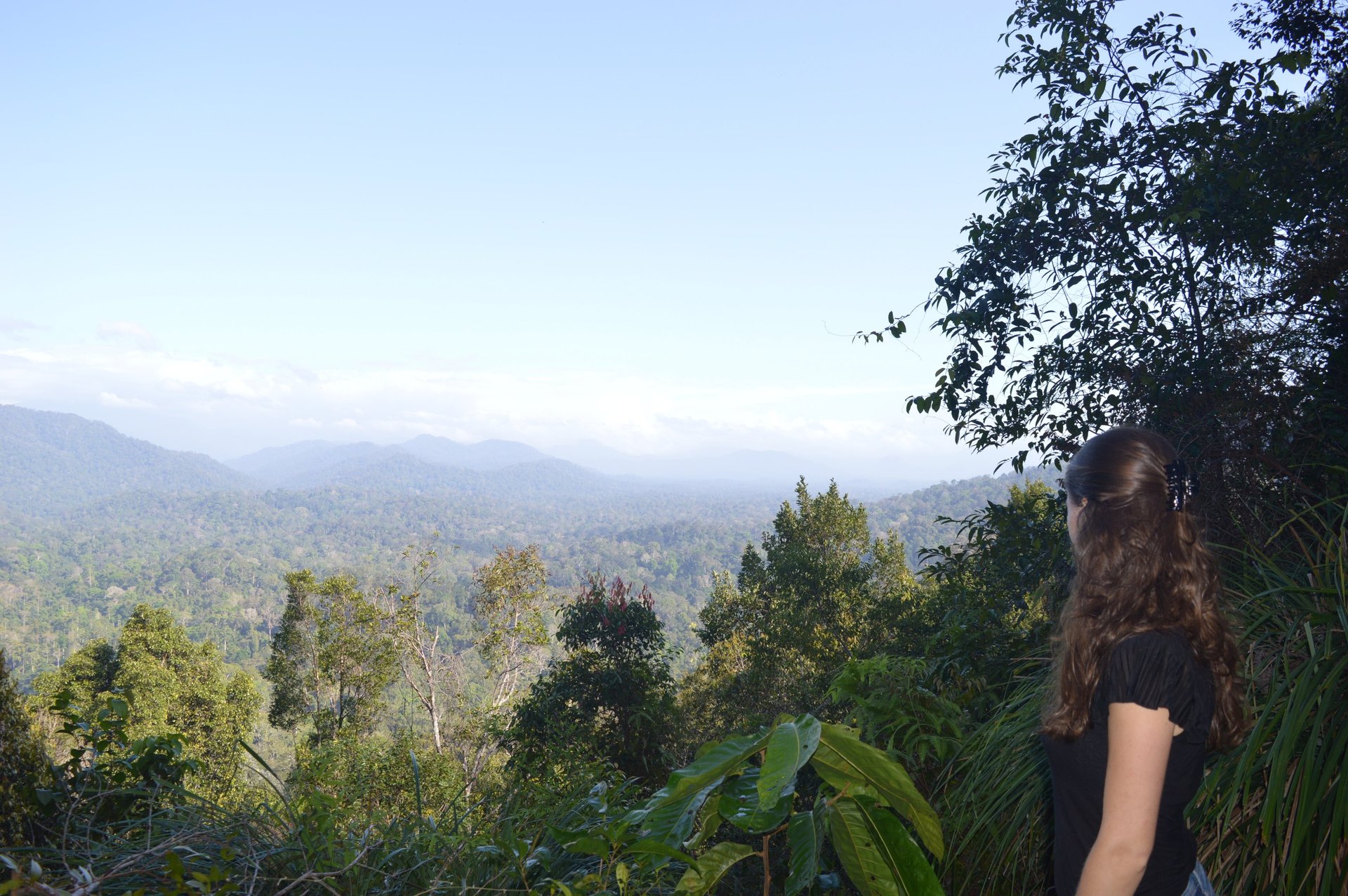 black blue and yellow textile